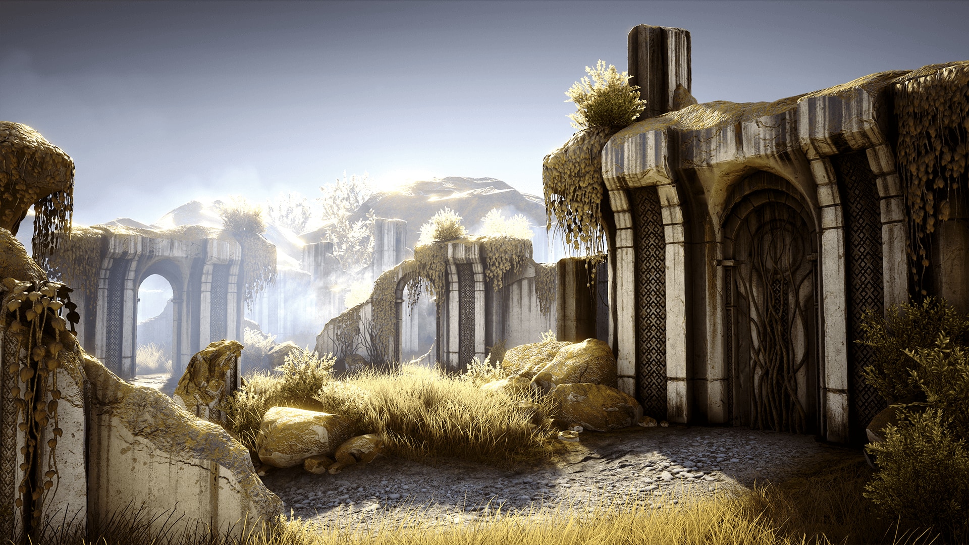 Overgrown Ruins