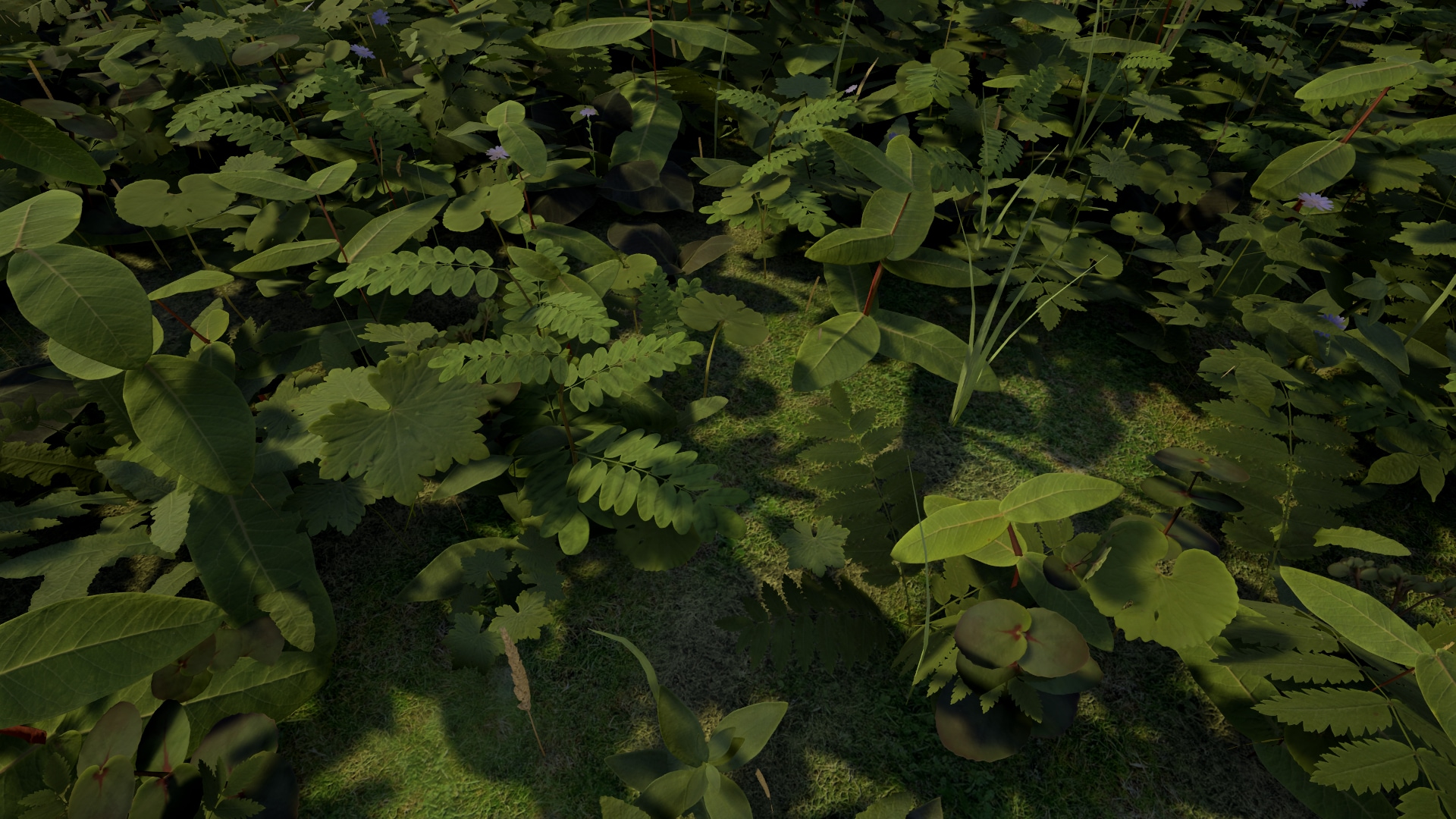 Ontario PBR Plant Pack in Props UE Marketplace