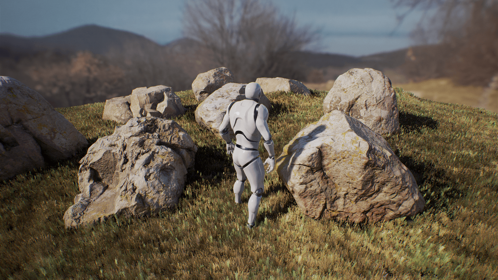 RealiScan Photogrammetry Boulders | Props