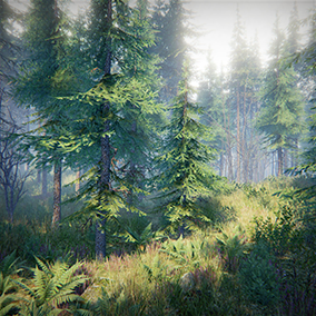 The Nature Mega Pack comes with bunch of highly detailed elements perfect for photo-realistic environments.