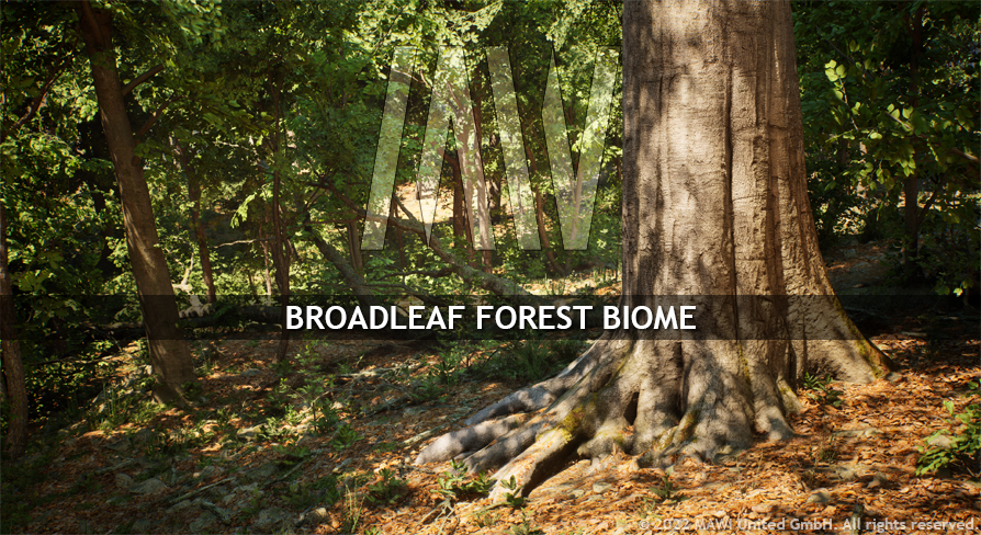 www.unrealengine.com