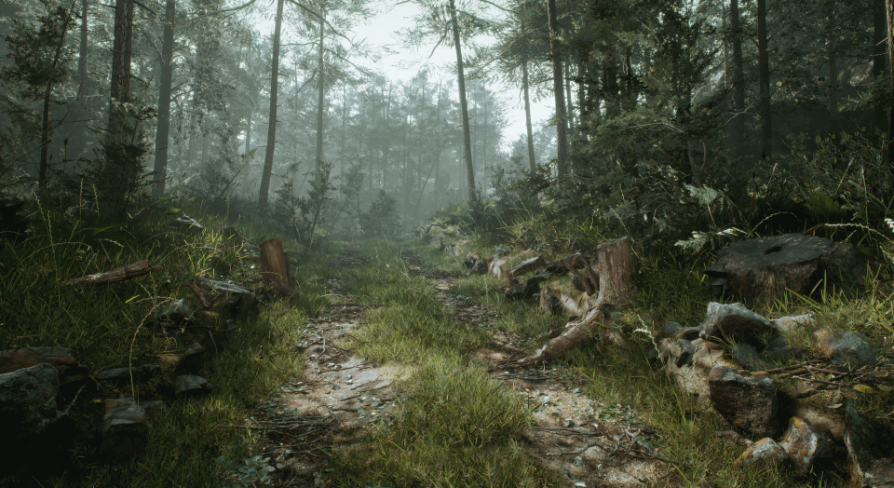 Unreal 3d. Ue4 forest. unreal engine 4 forest. unreal engine 5 лес. forest ассеты ue.