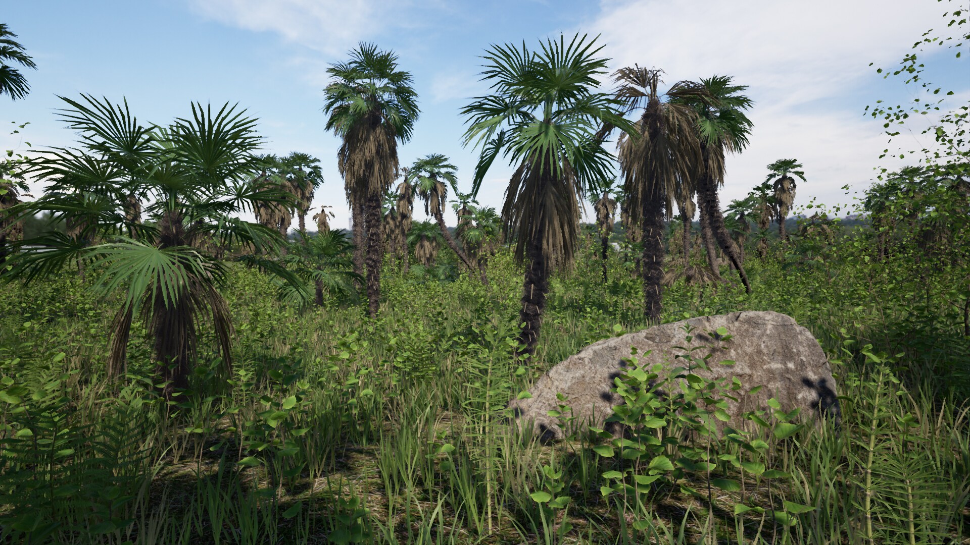 Palms Pack 01 (Trachycarpus fortunei)