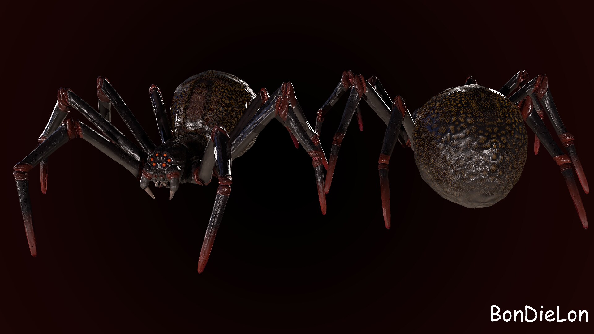 Spider 1