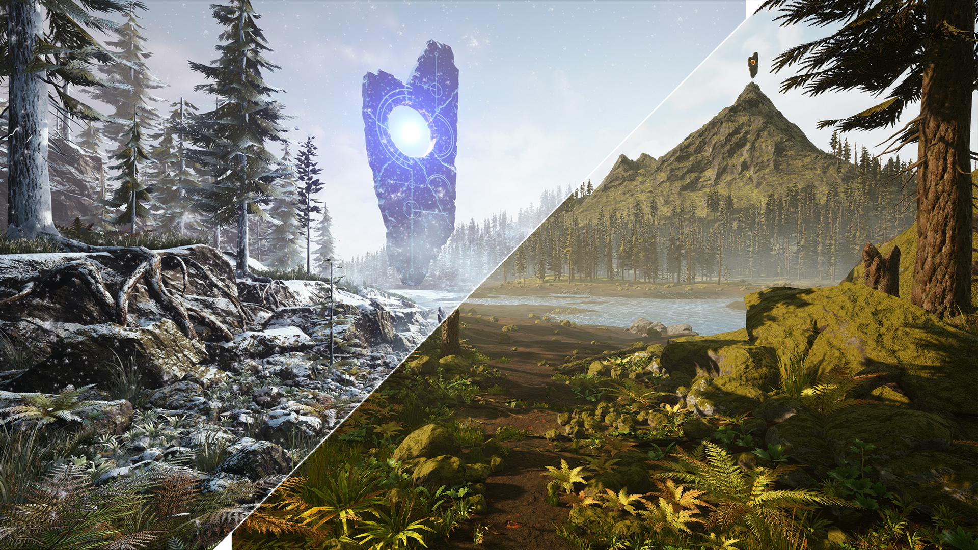 Winter Forest - Snow - The Source