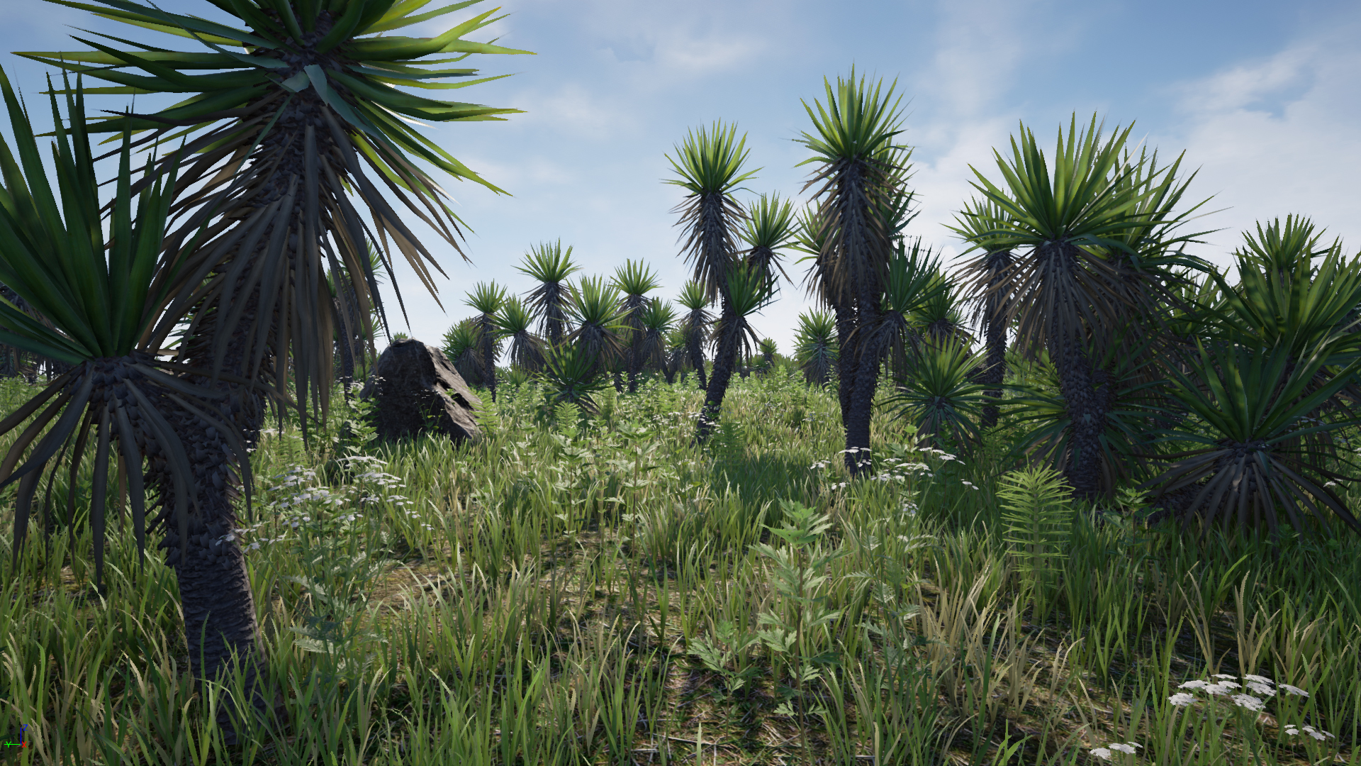 Yucca Pack (Yucca filamentosa)