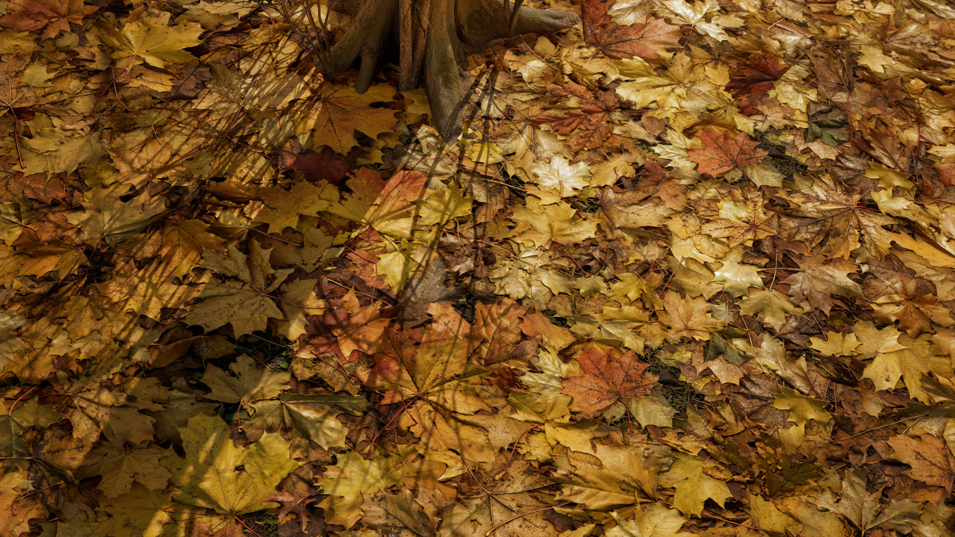 Scanned Materials - Leaves Vol. 1