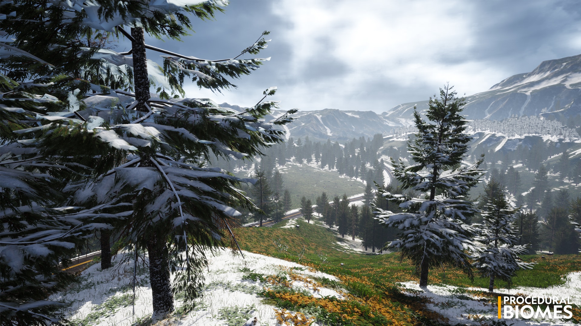 Procedural Biomes