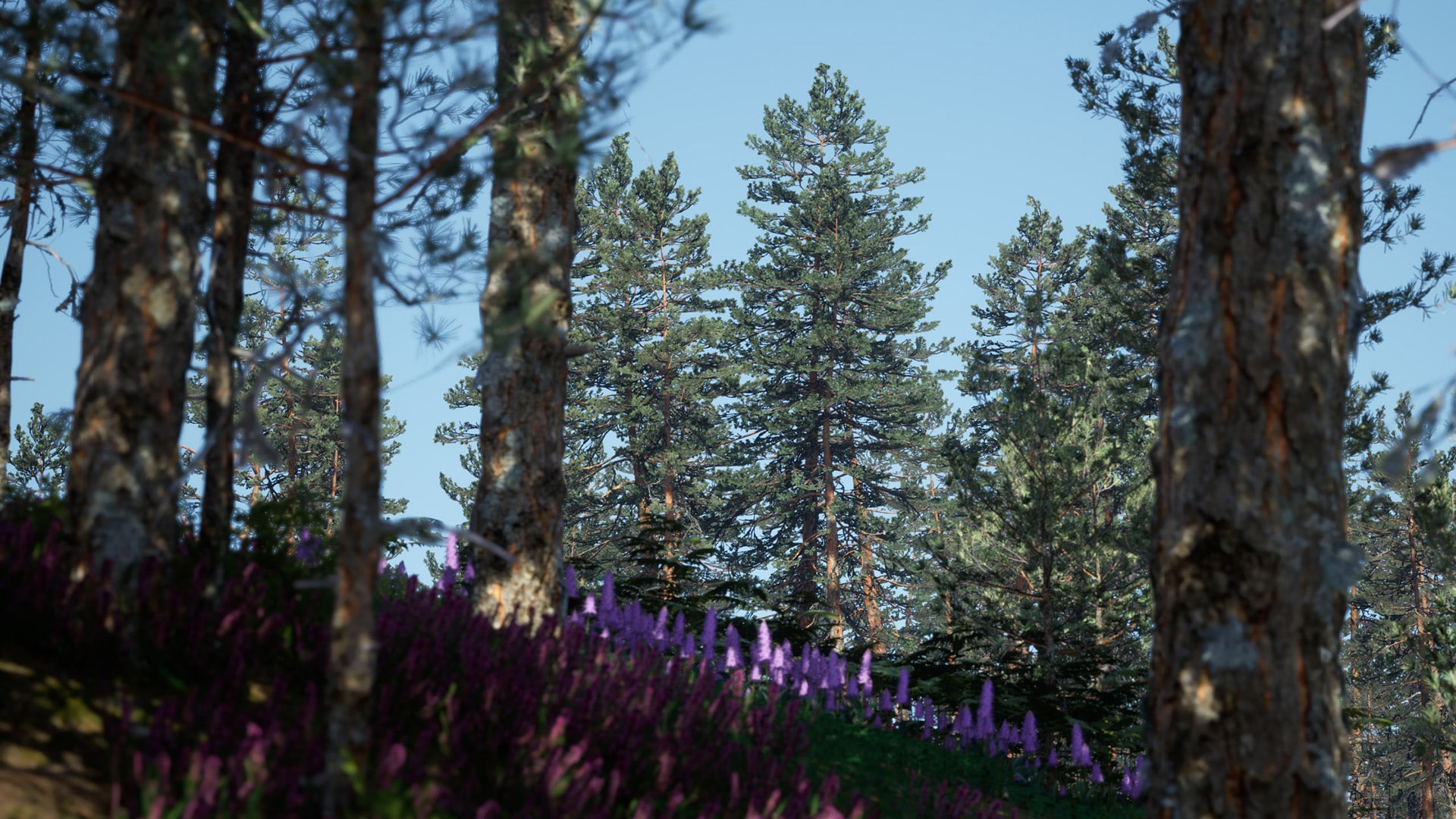 Nordic AutoBiome