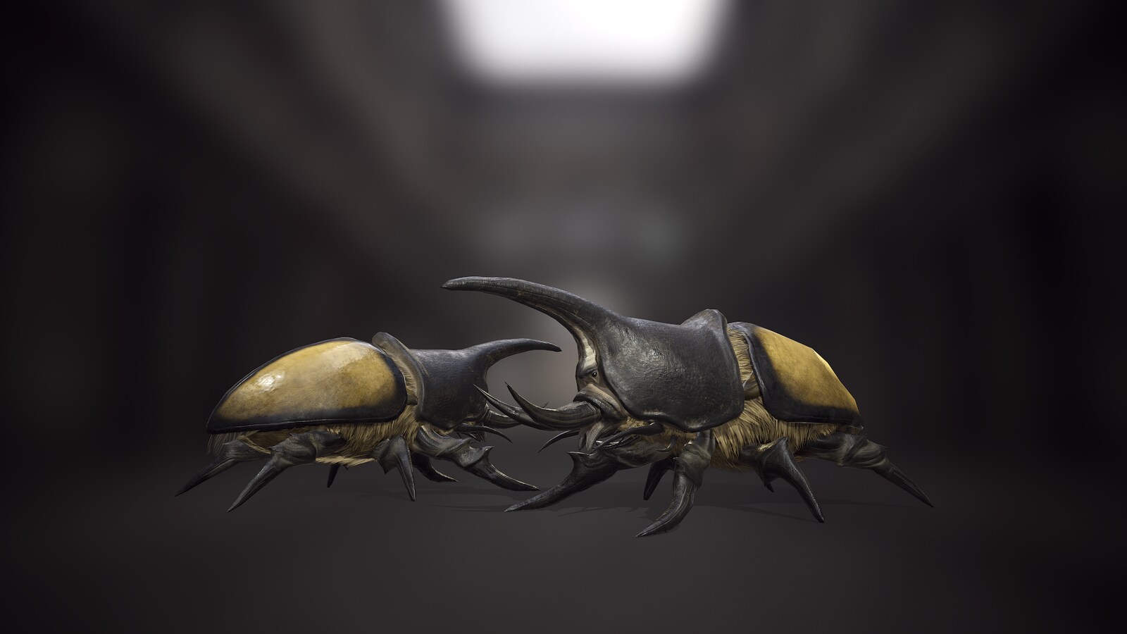 rhinoceros beetle