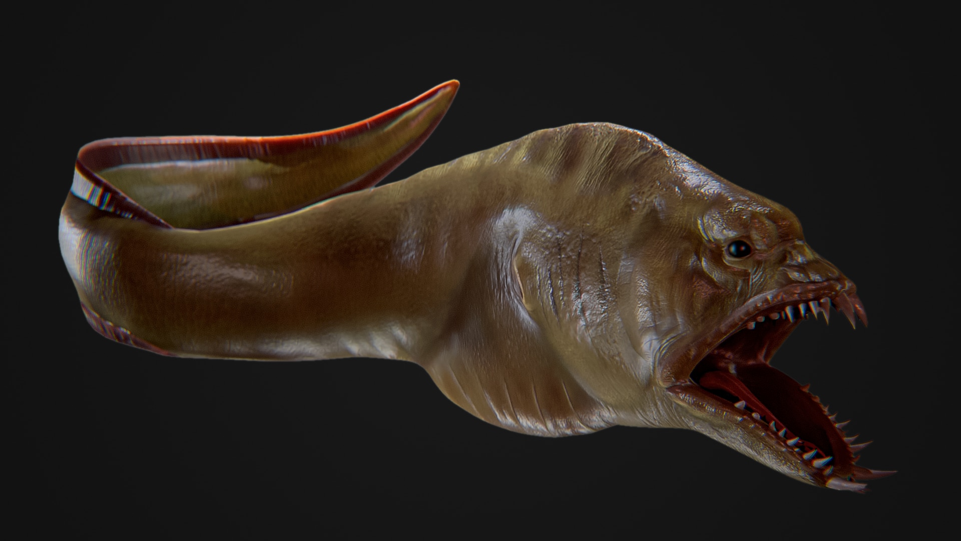 Moray Eel in Characters UE Marketplace