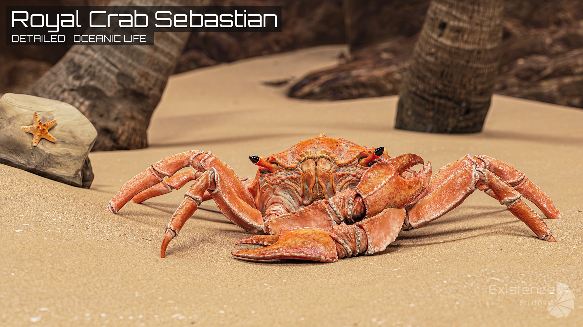 Royal Crab – King Sebastian – Rock Land Creature – #18