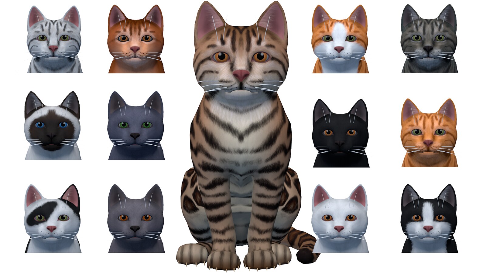 Toon Cats キャラクター Ue マーケットプレイス