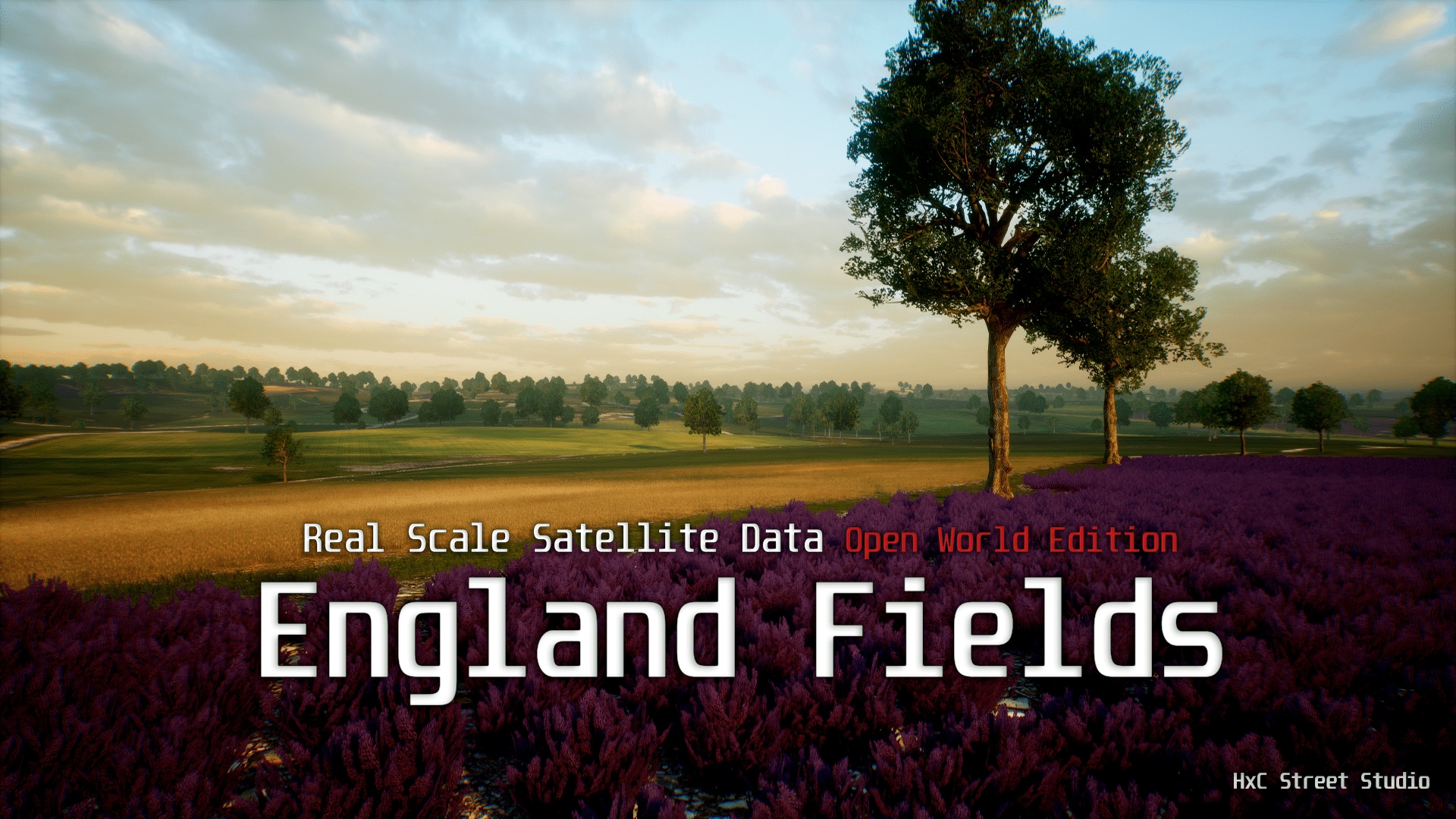 Landscape: England Fields – Real Scale Satellite Data