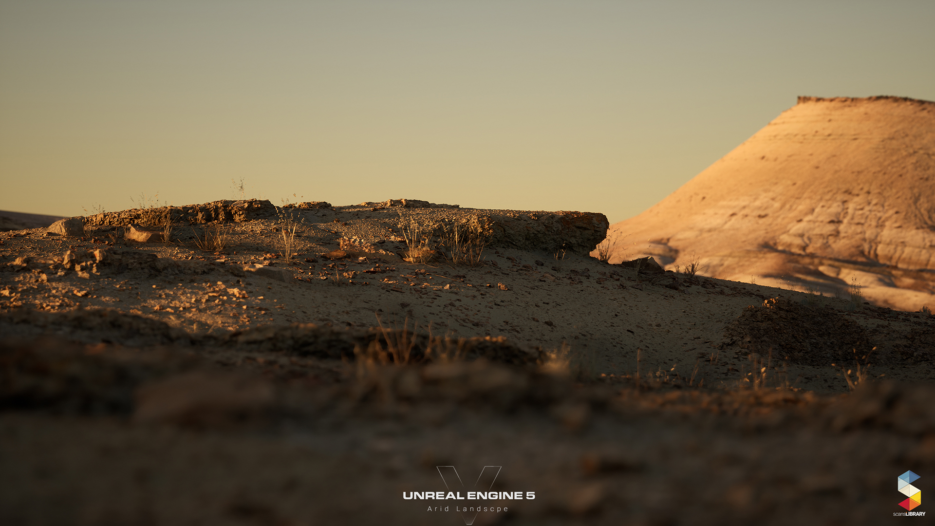 Arid Landscape (NANITE)