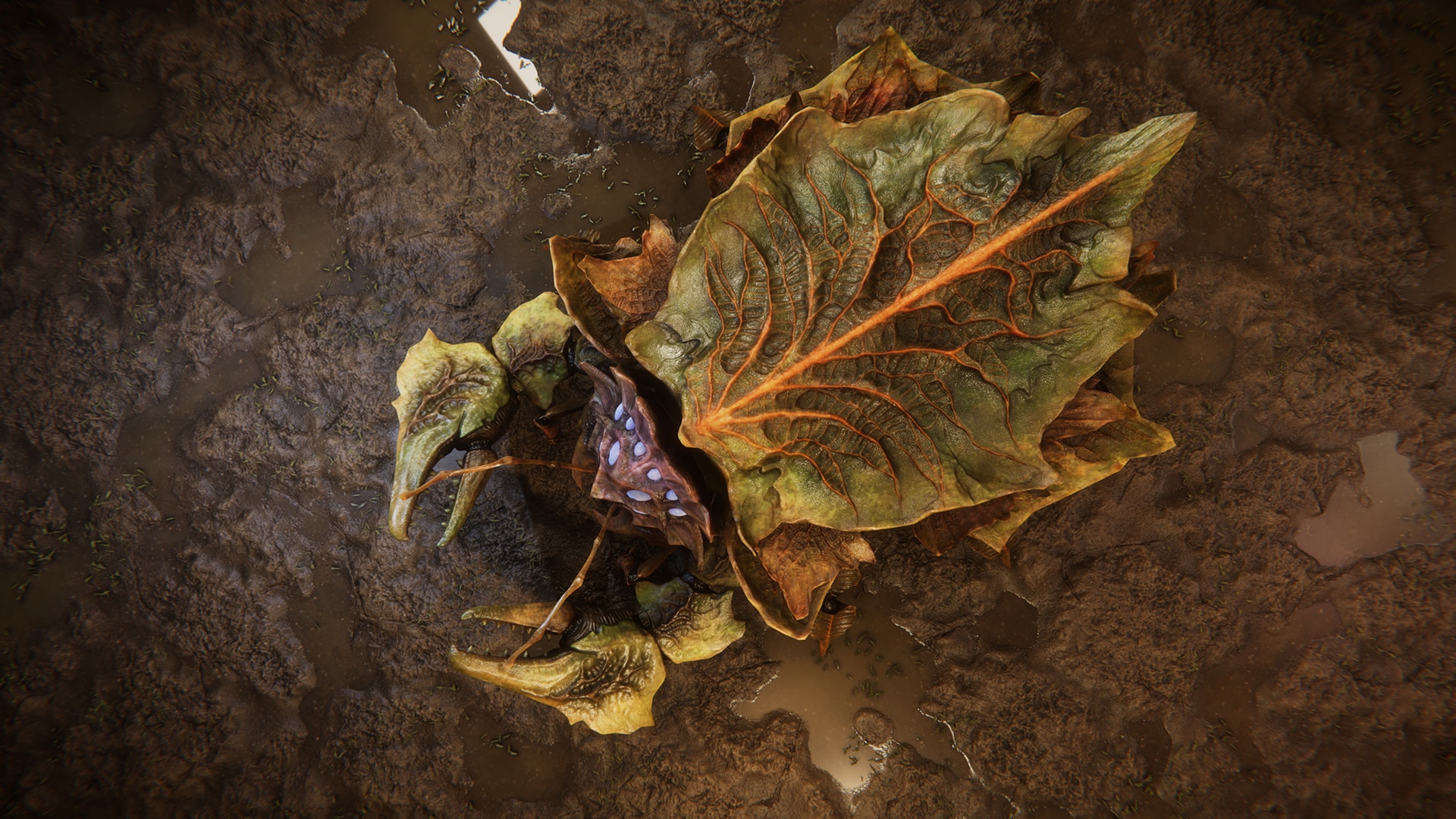 Crabs Pack in Characters UE Marketplace