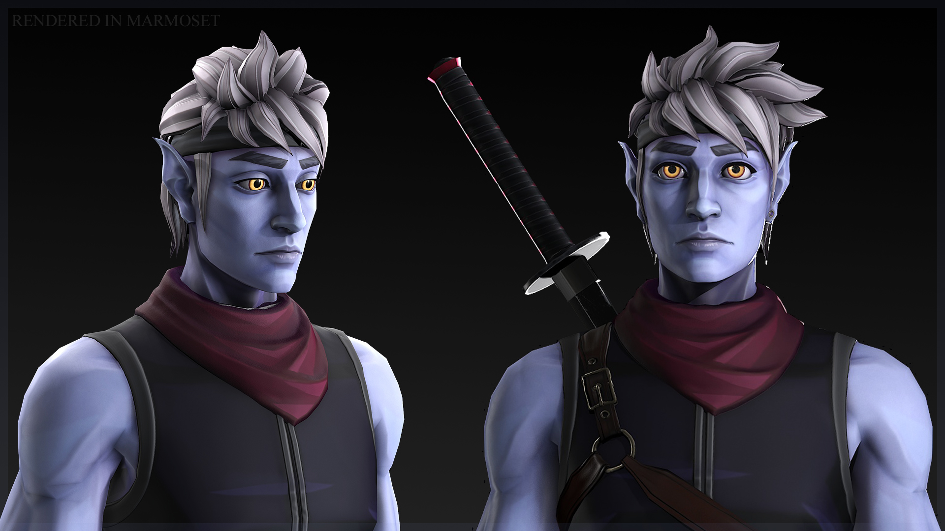 Ninja elf