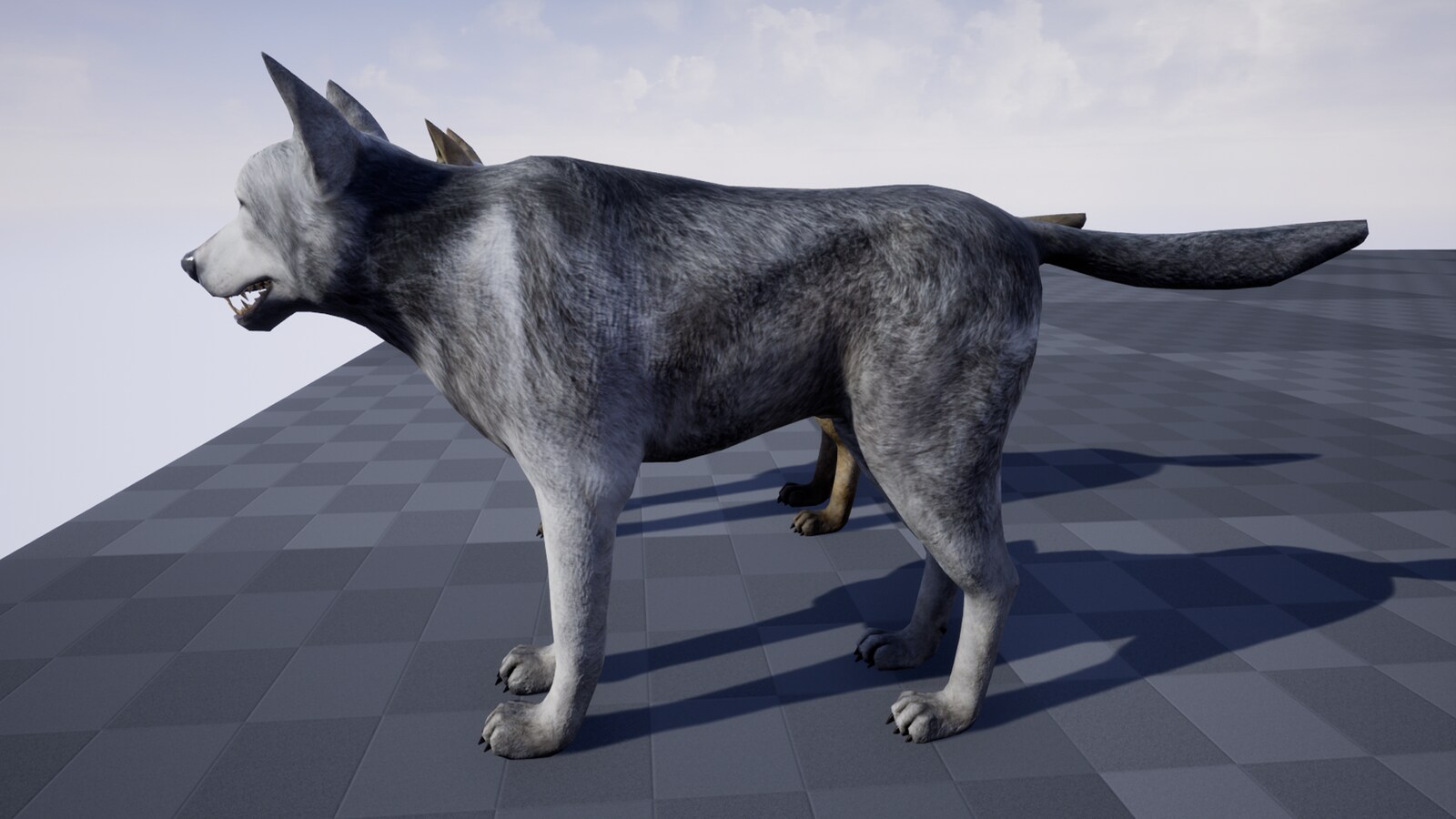 在角色创建的grey wolf - 虚幻引擎商城