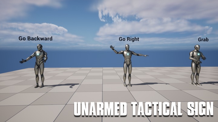 Unarmed Tactical Sign Anim Set