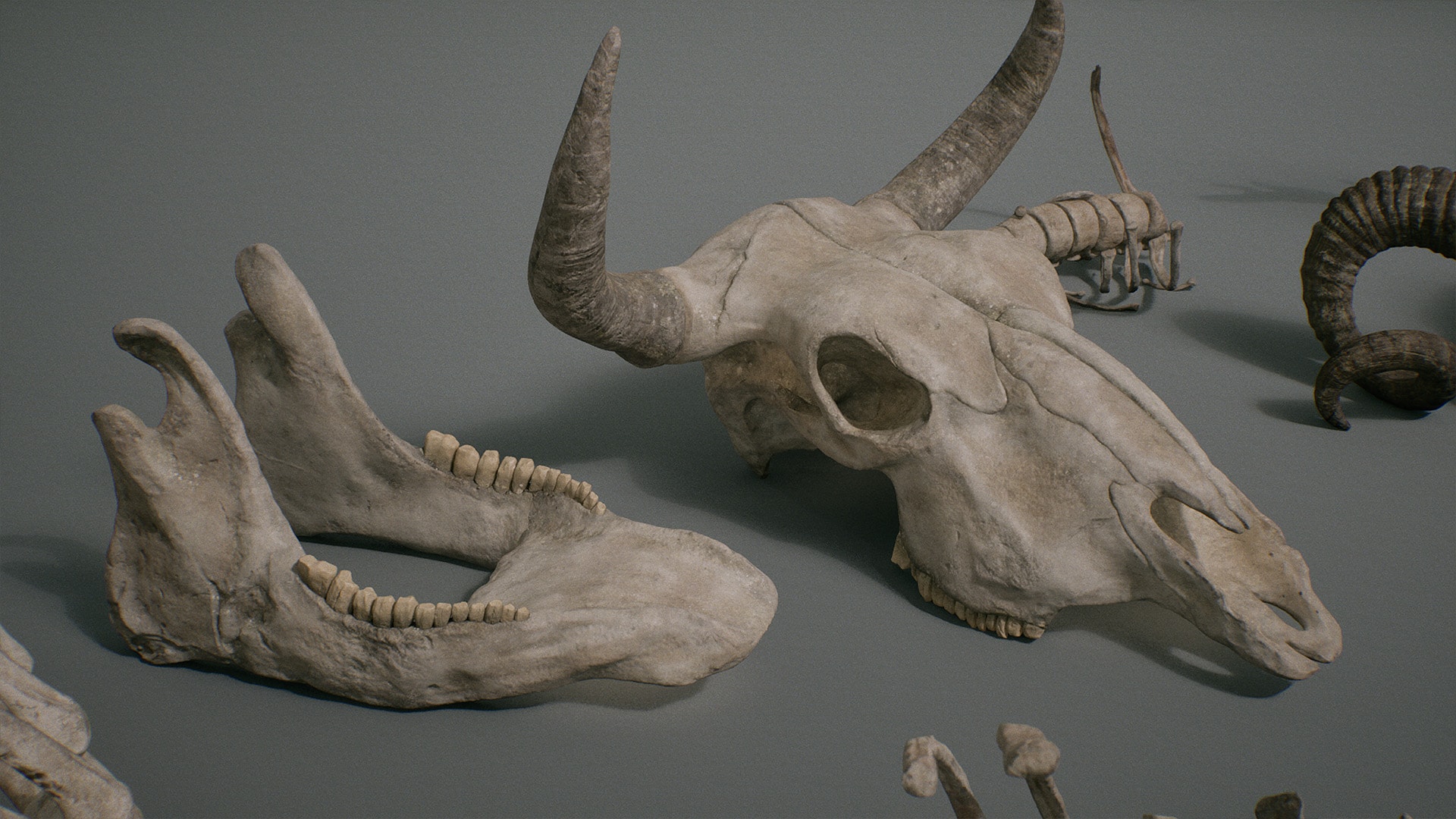 Bones VOL.3 Animal Bones 2 (Nanite + Low Poly) in Props UE Marketplace