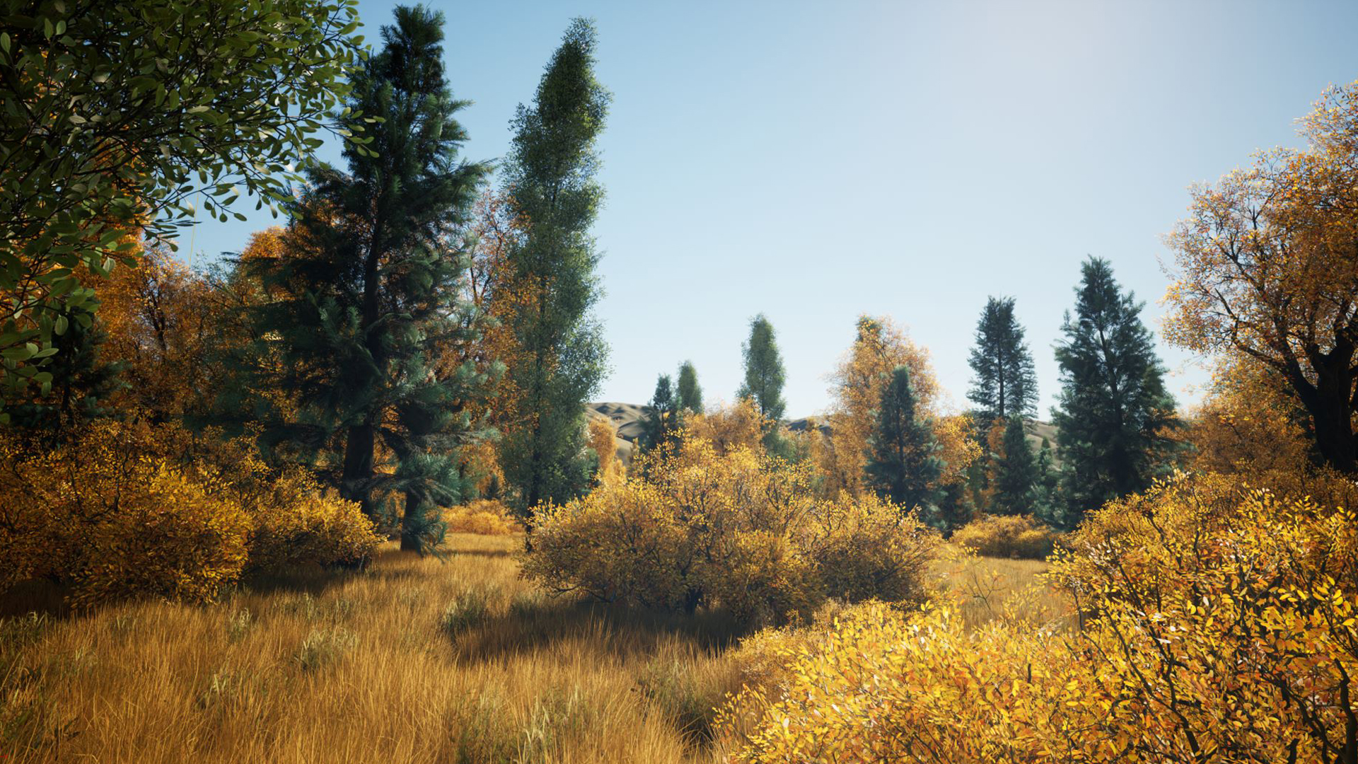 Realistic Autumn Forest Location 2x2