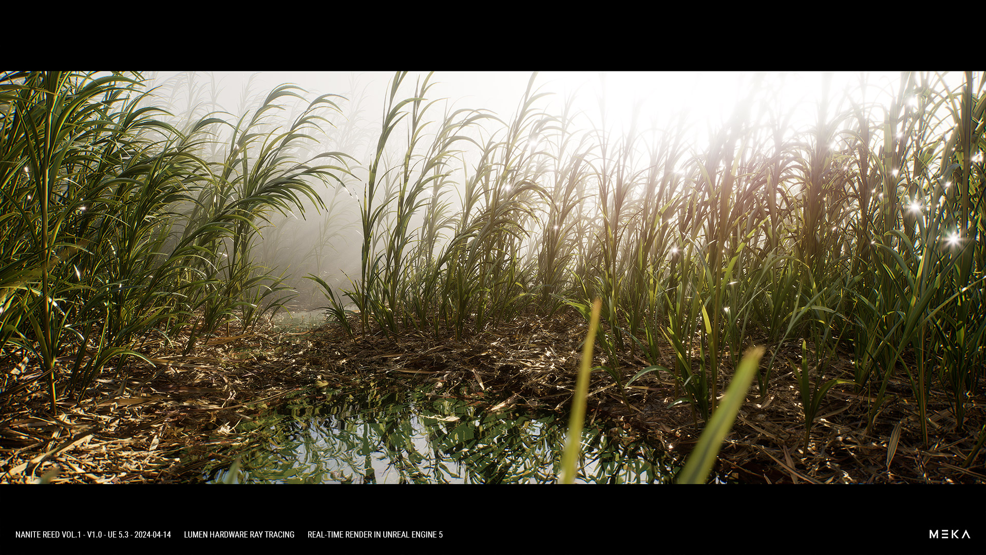 Nanite Reed Vol.1