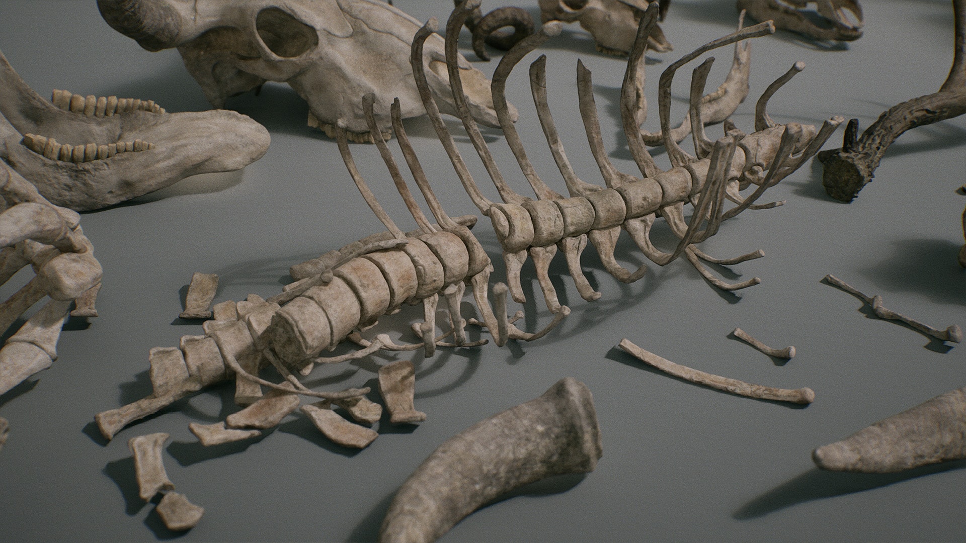 Bones VOL.3 Animal Bones 2 (Nanite + Low Poly) in Props UE Marketplace