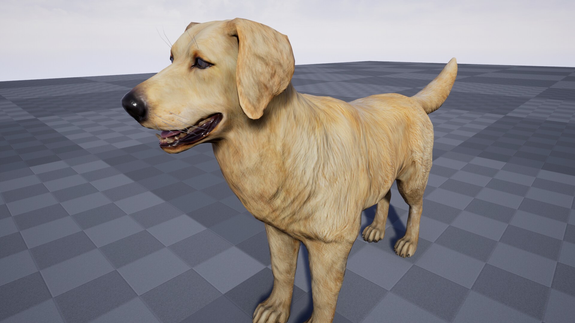 dog - golden retriever