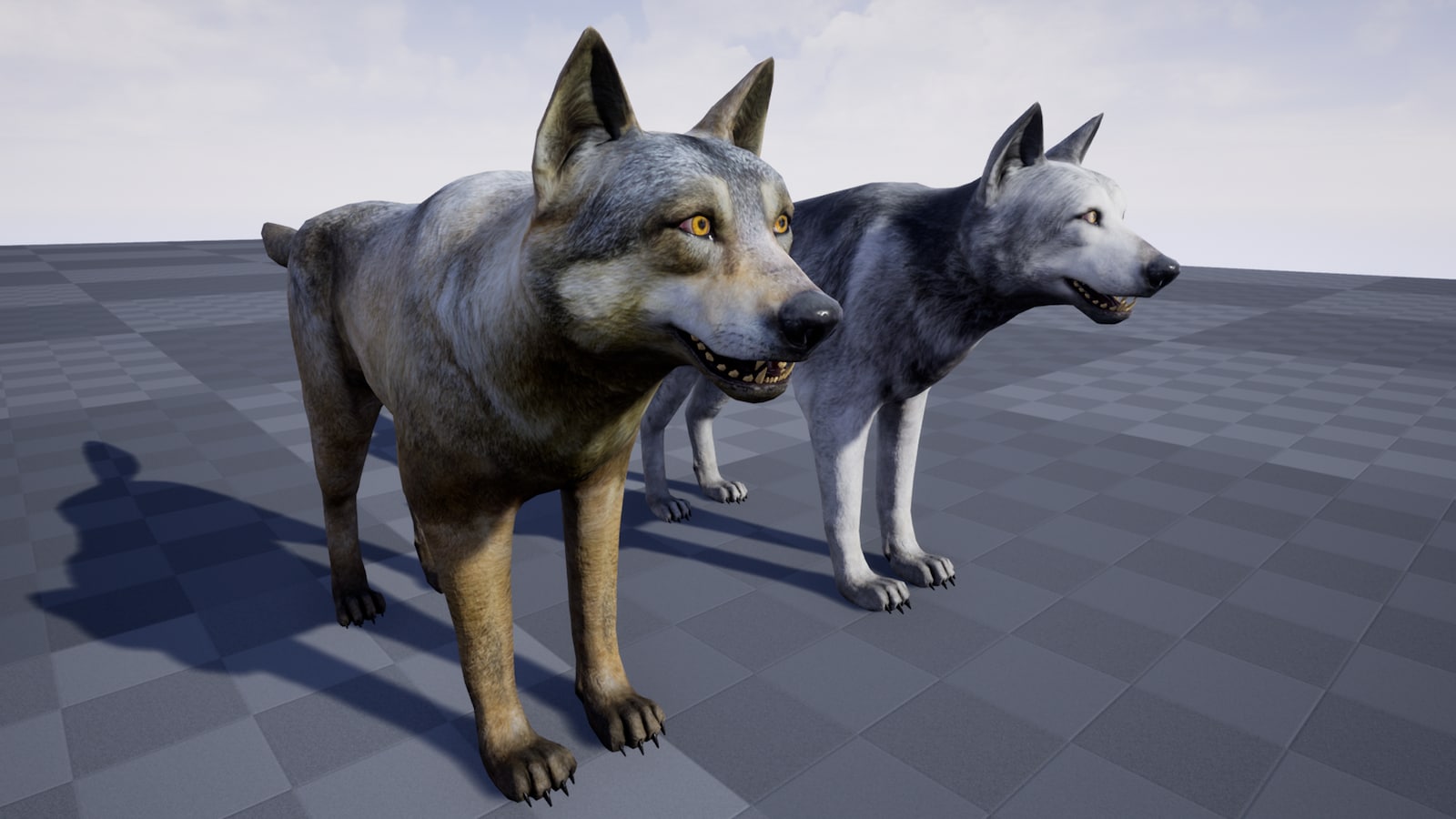 在角色创建的grey wolf - 虚幻引擎商城