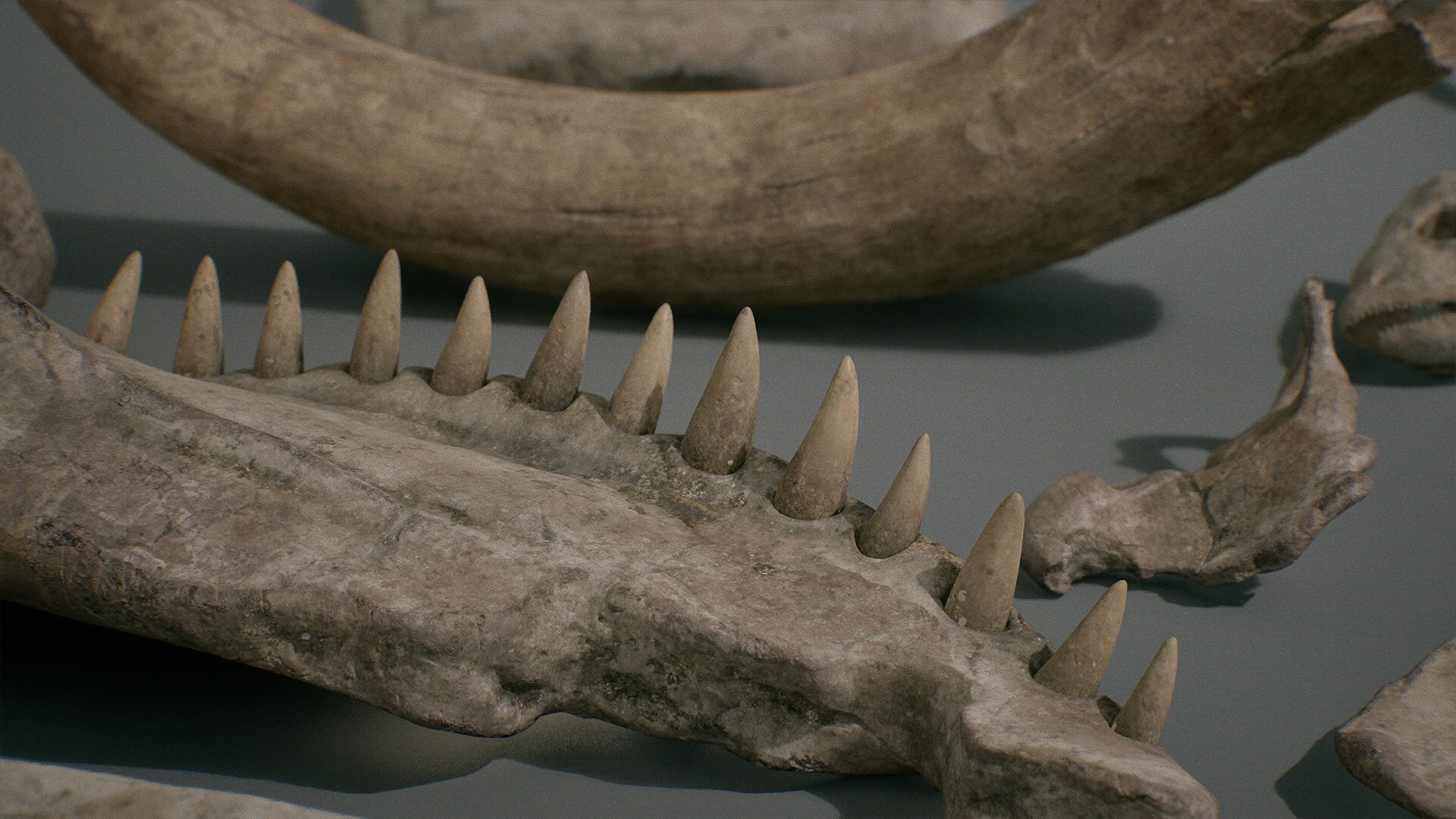 Bones VOL.1 Animal Bones 1 (Nanite + Low Poly) in Props UE Marketplace