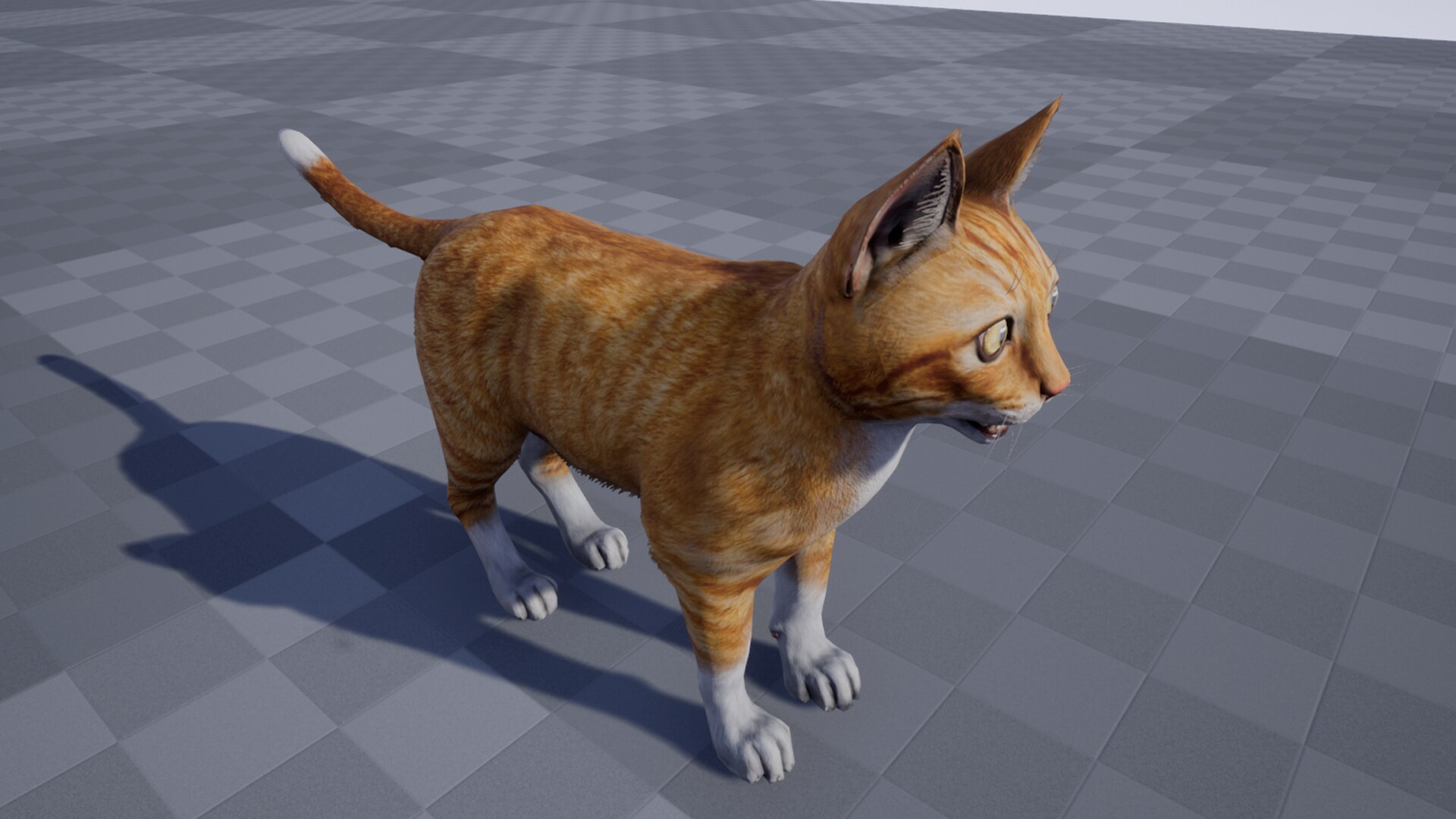 Cat Red Color キャラクター Ue マーケットプレイス Cat Red Color キャラクター Ue マーケットプレイス