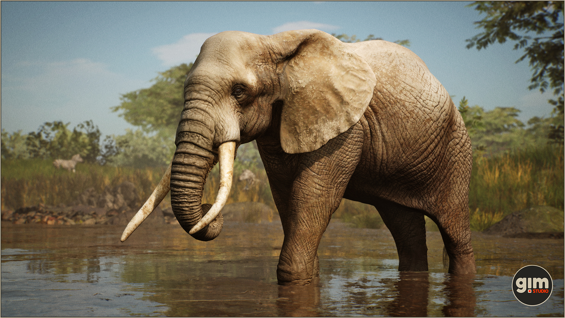 Animalia - African Elephant (male)