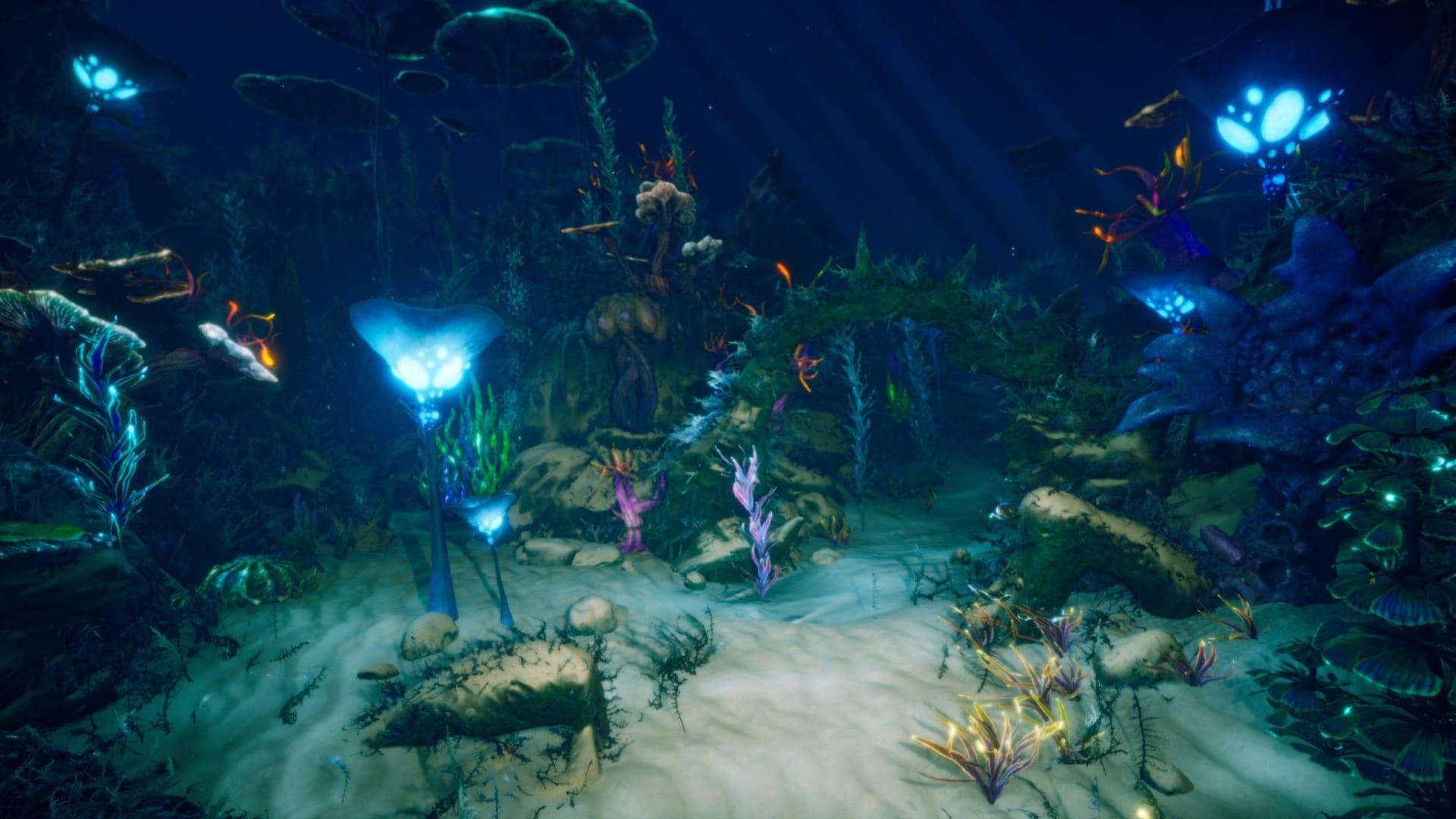 在环境创建的Alien Ocean Environment - Fantasy Planet - 虚幻引擎商城