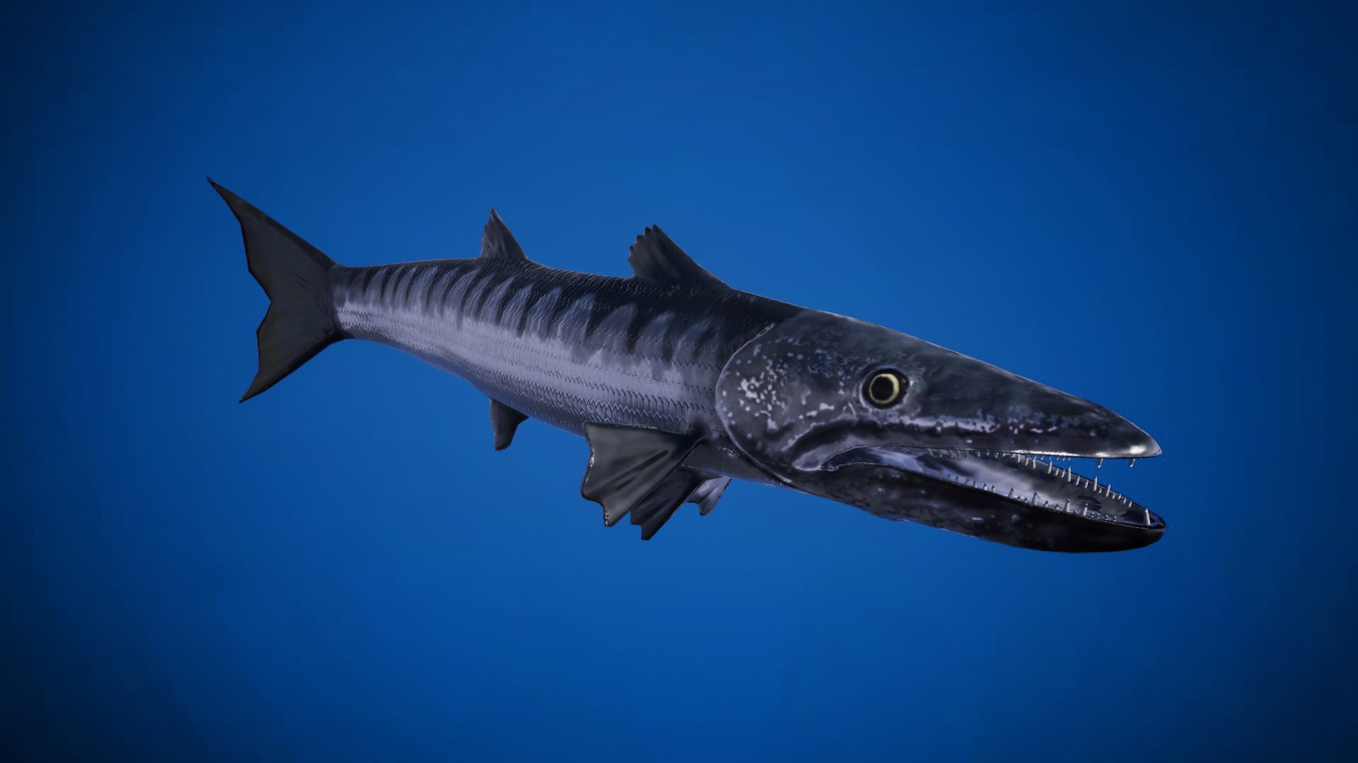 Sea Creatures Pack in Characters - UE Marketplace