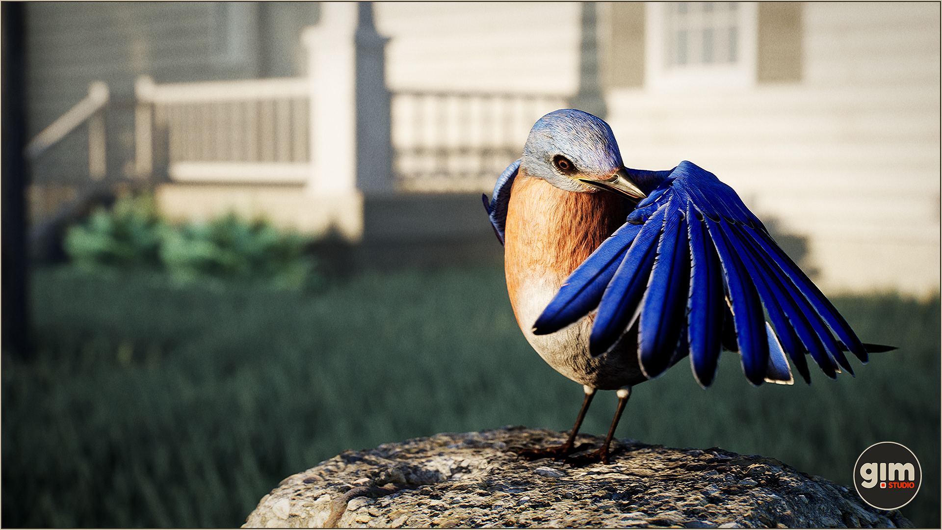 Animalia - Bluebird