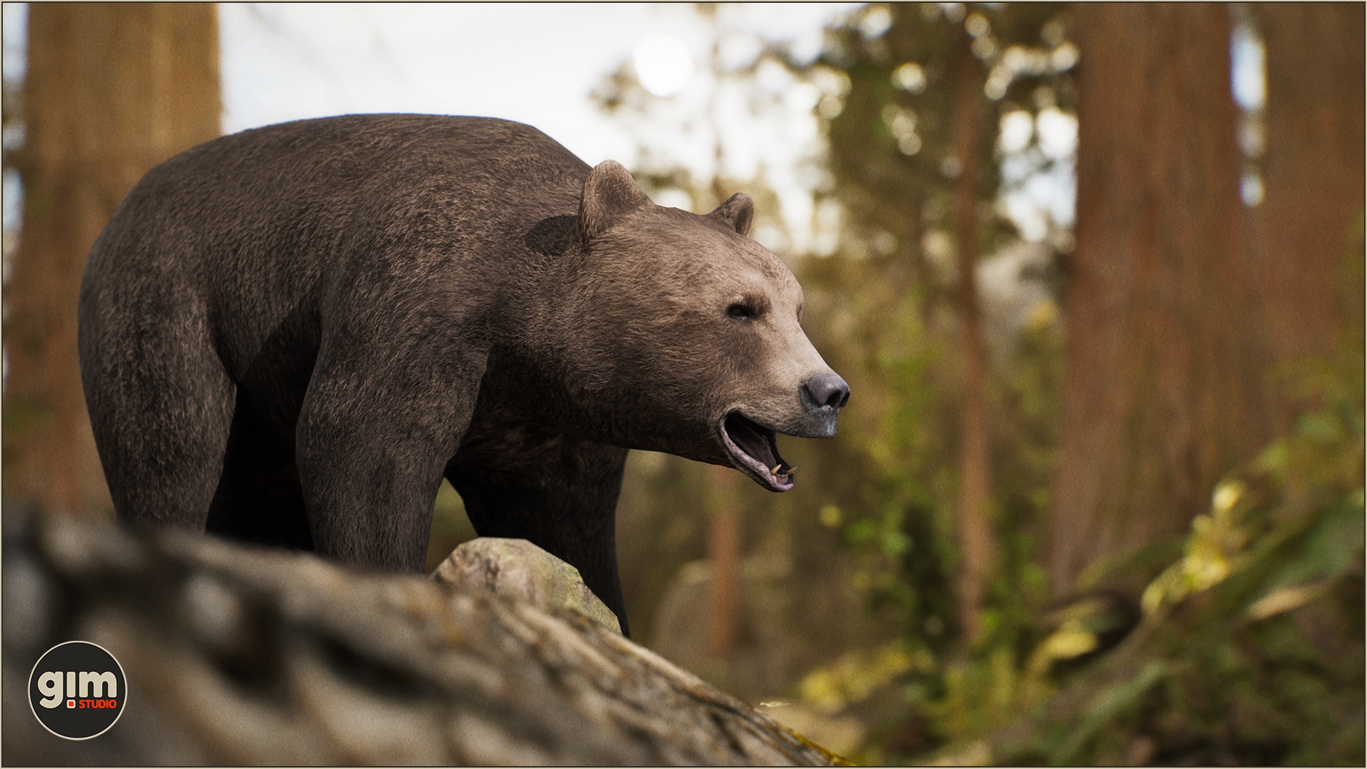 Animalia - Brown Bear (female)