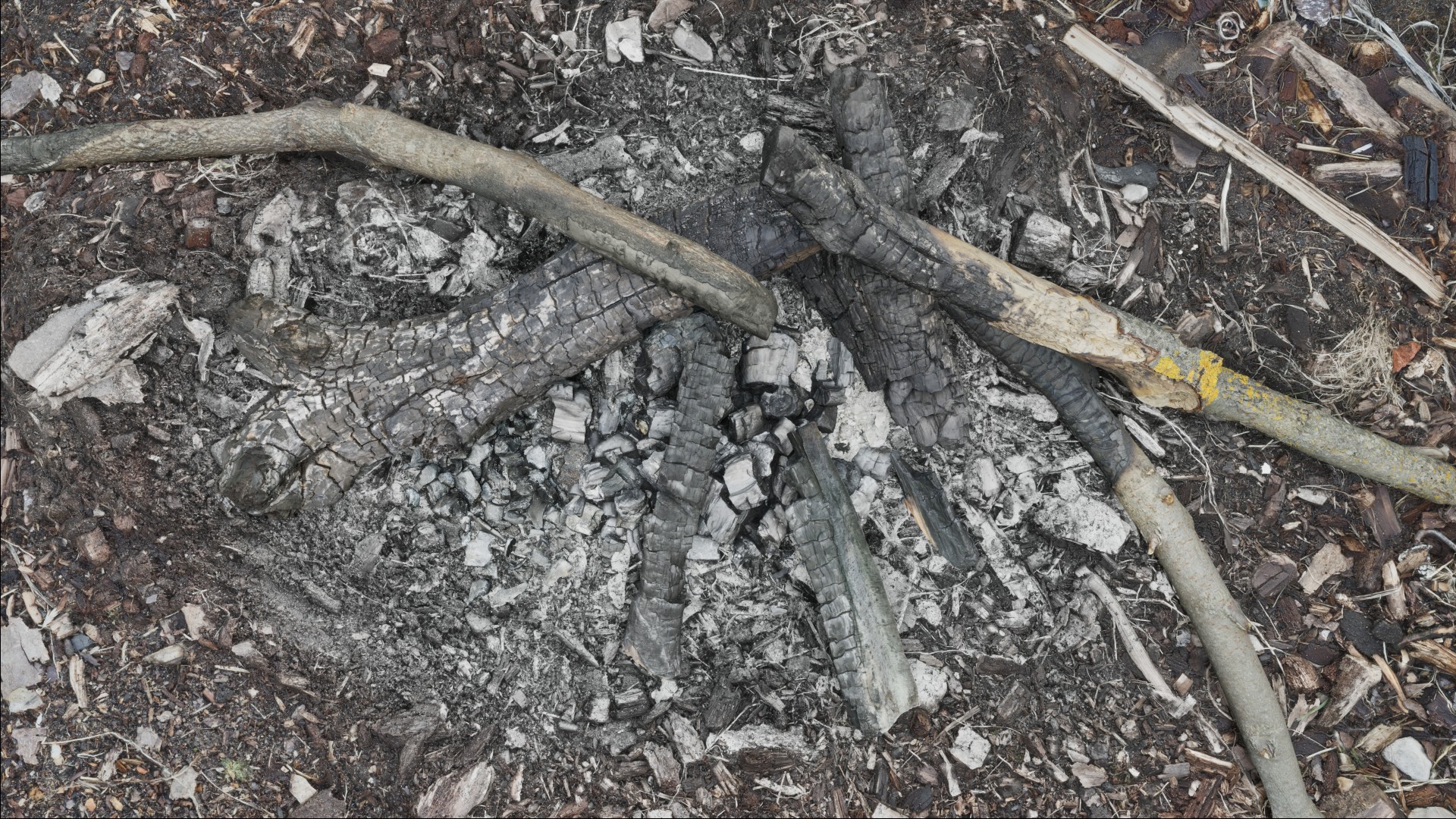 Burned wood