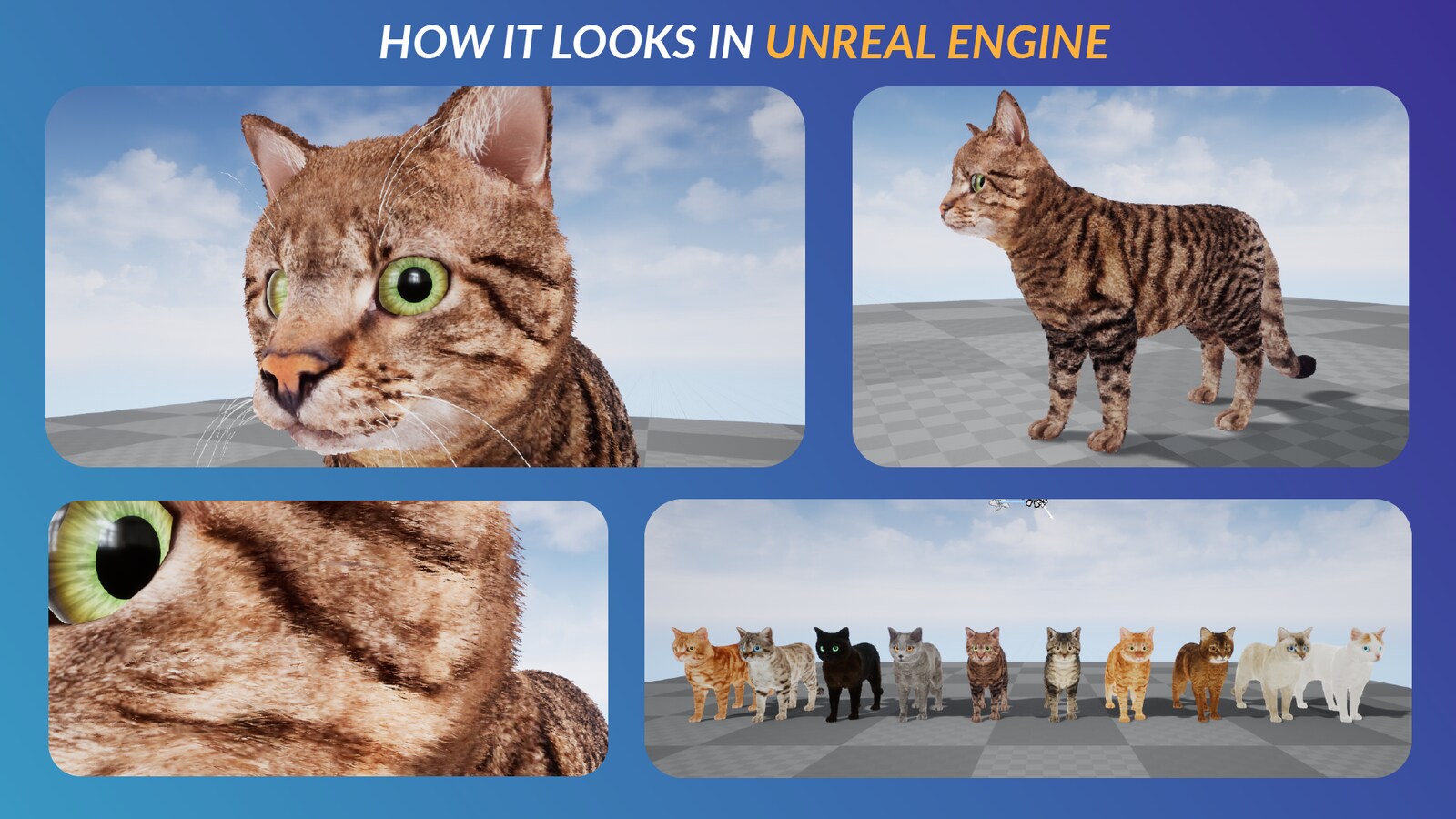 Full Animated Cats キャラクター Ue マーケットプレイス