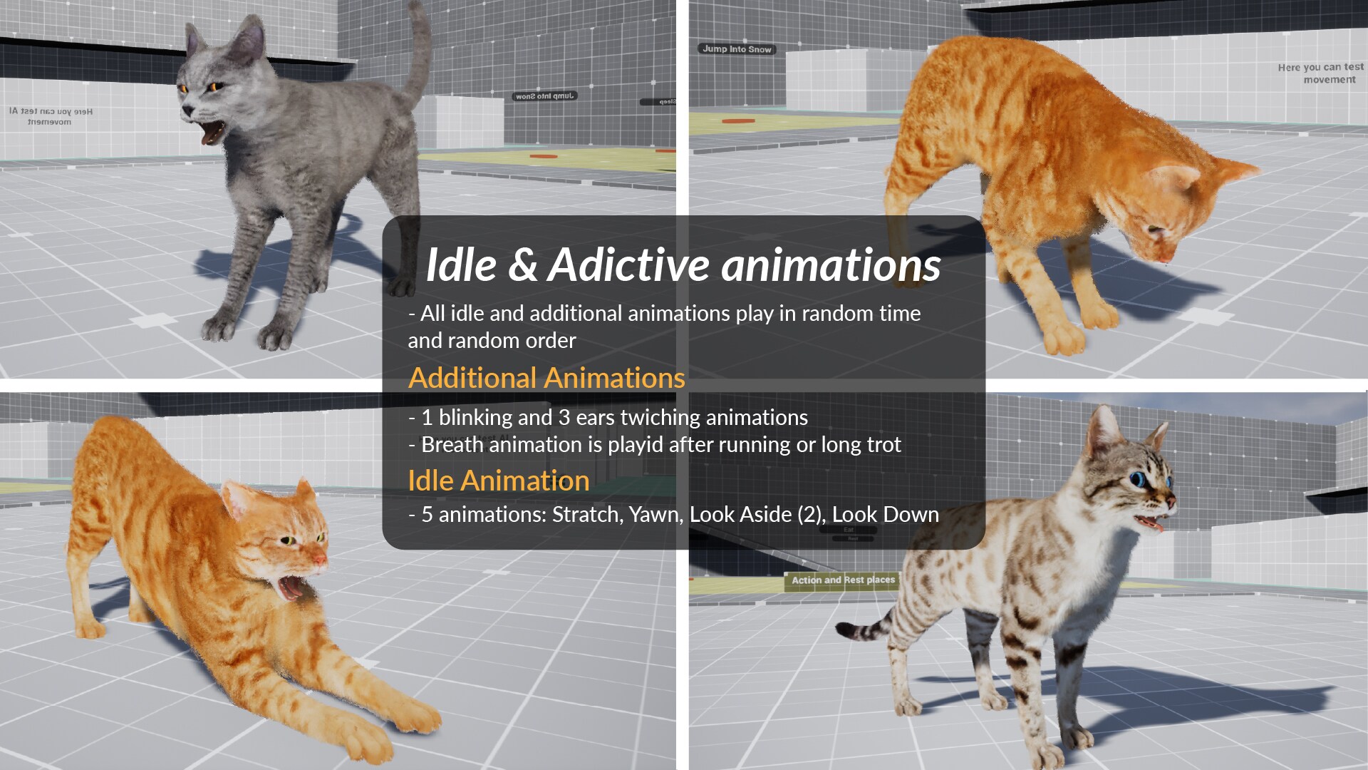 在角色创建的advanced Cats 虚幻引擎商城