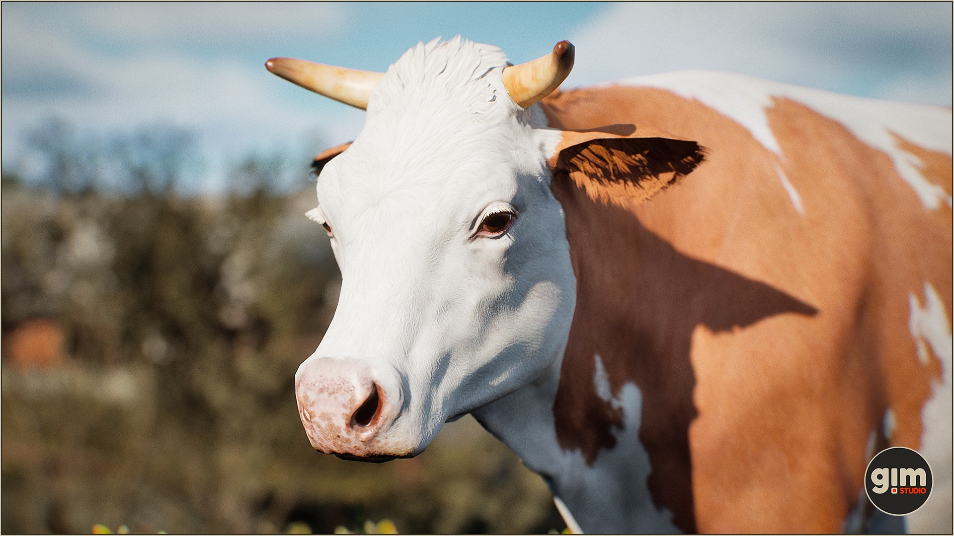 Animalia – Cow (female)