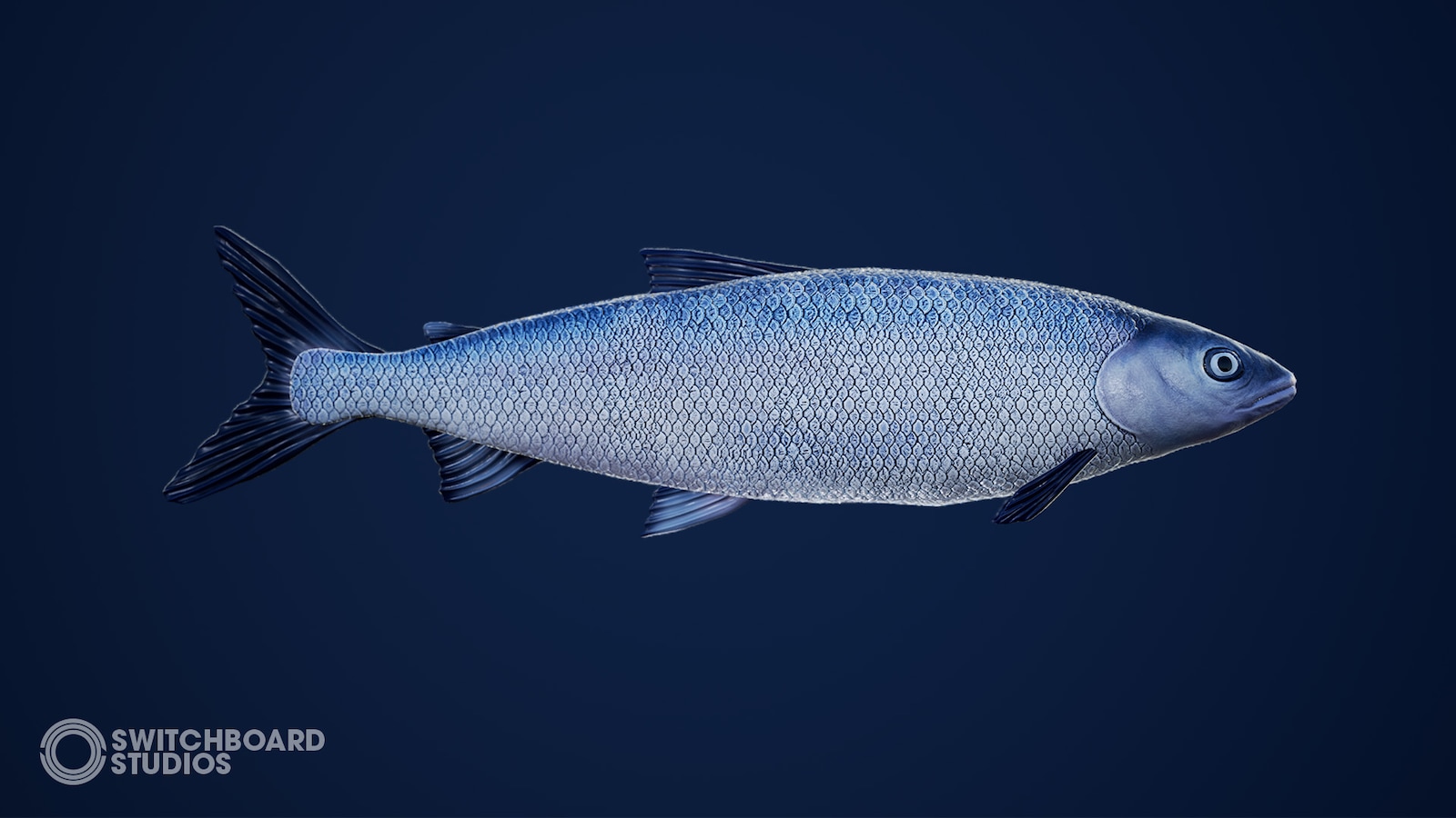 freshwater fish pack with animations