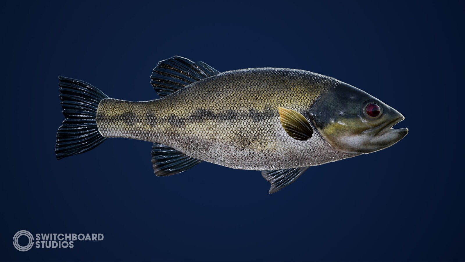 freshwater fish pack with animations