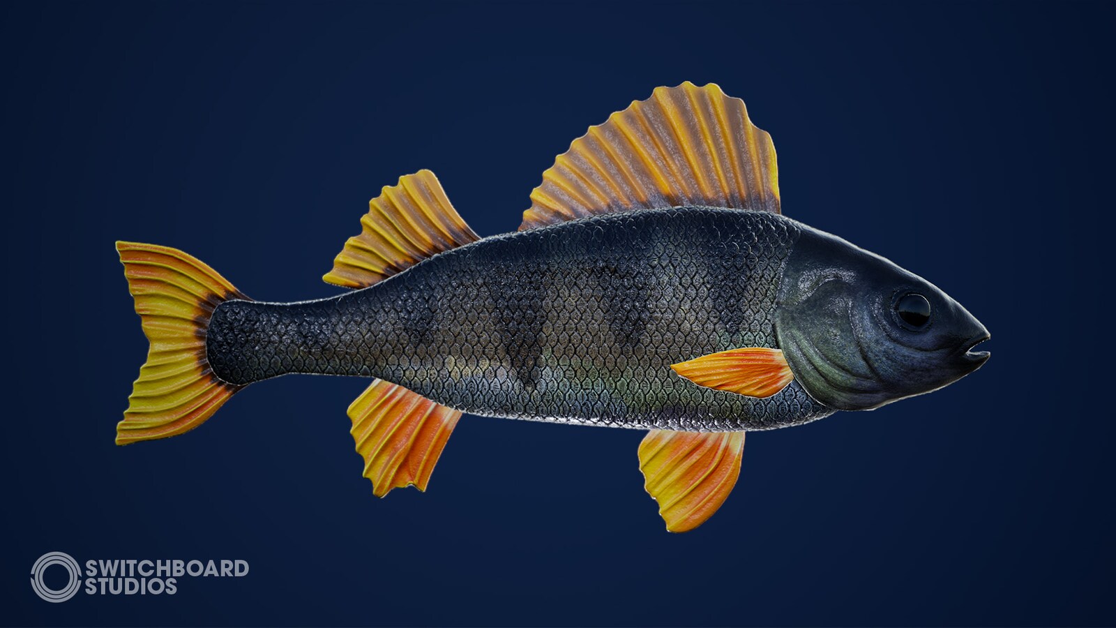 freshwater fish pack with animations