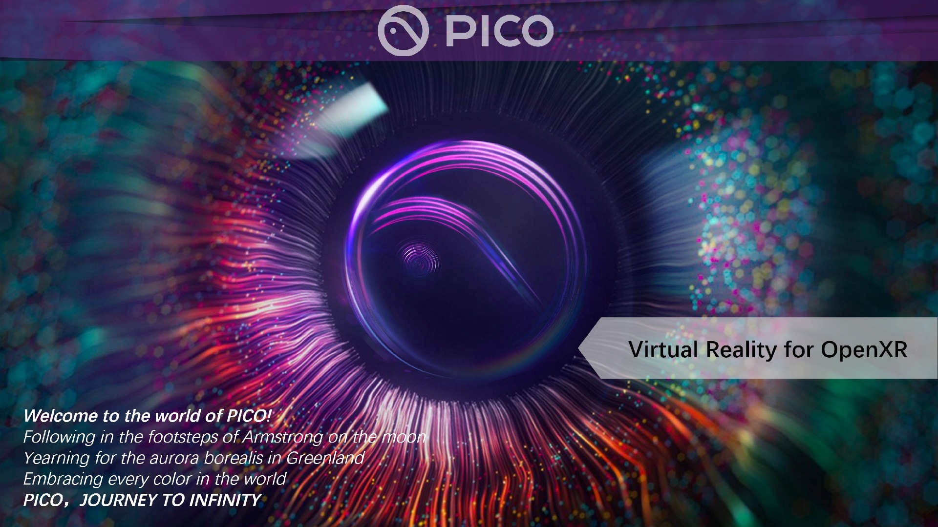 PICO OpenXR