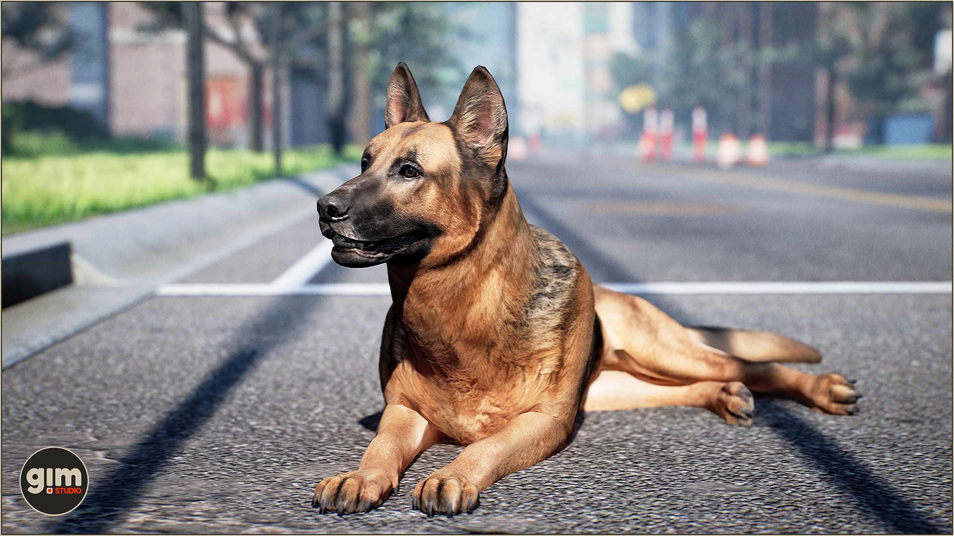 Animalia – German Shepherd