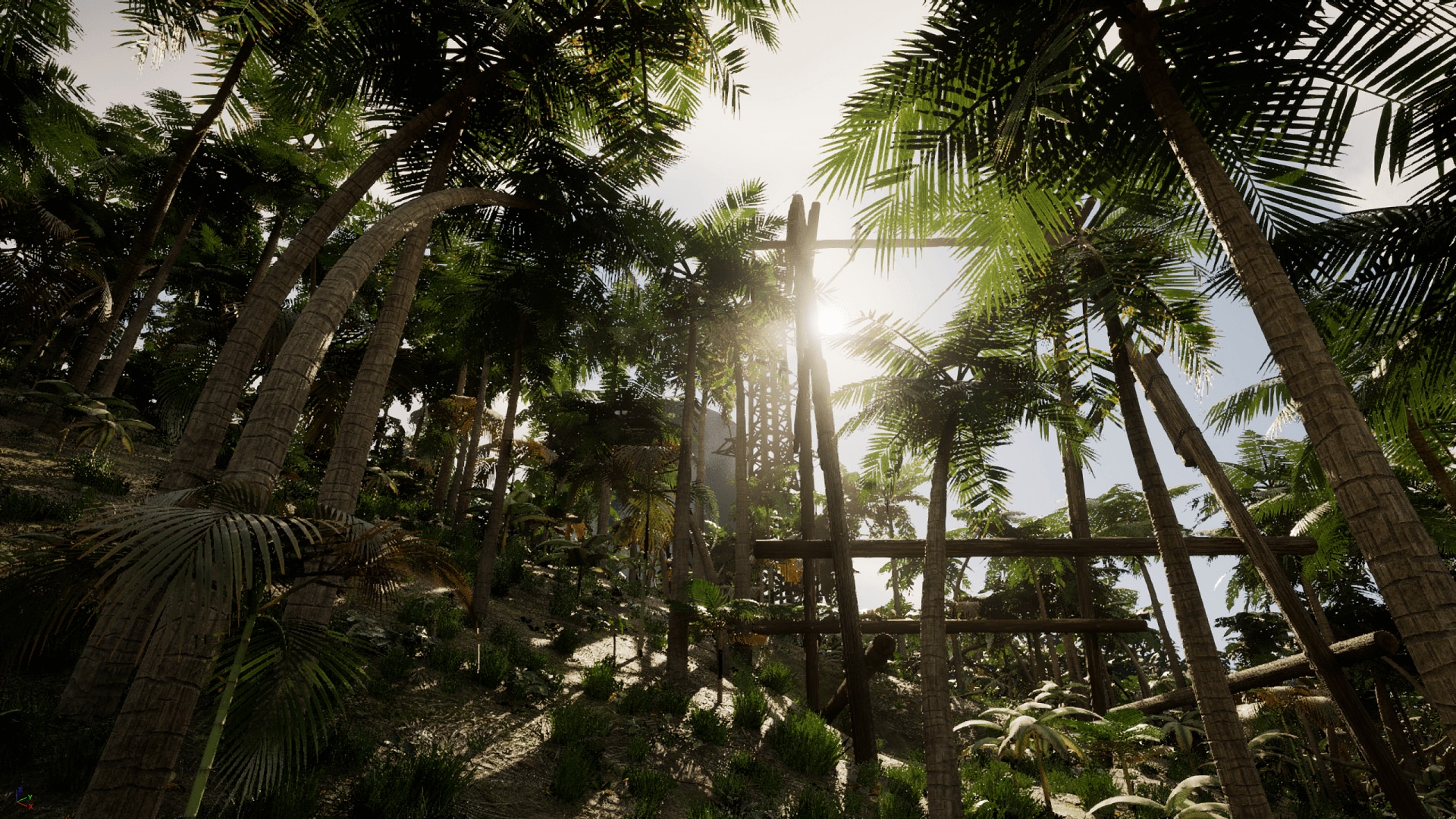 Hangar warehouse in the tropics