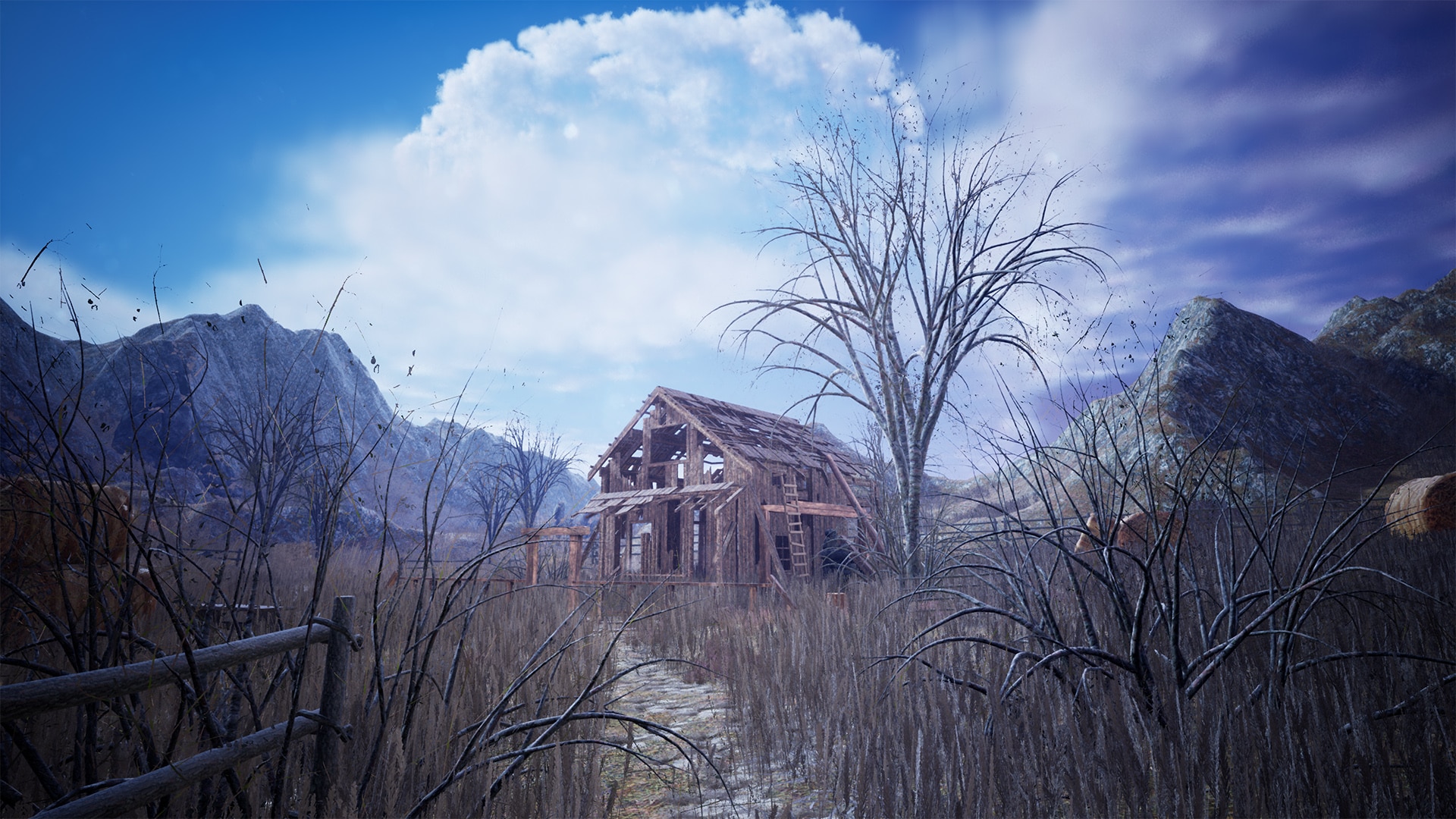 Wooden Shack / 250+ Assets