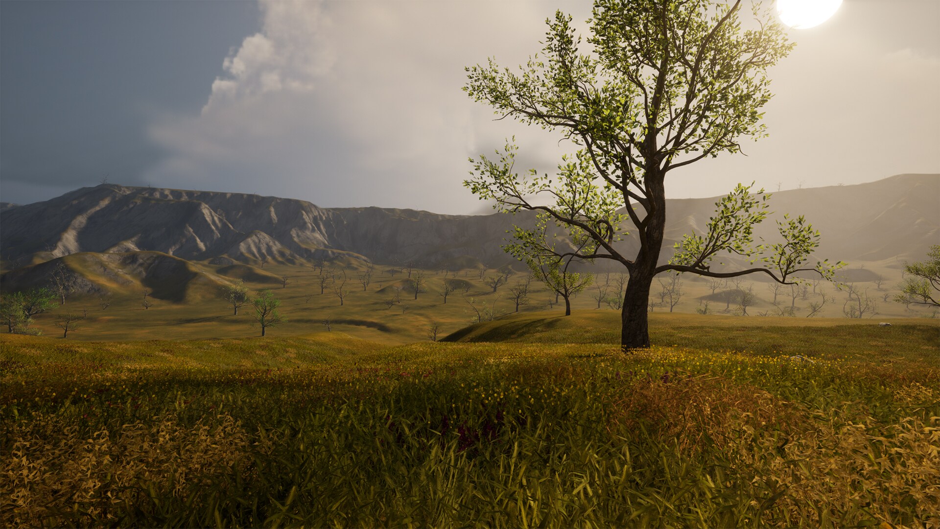 North American Prairie Ecosystem in Environments UE Marketplace