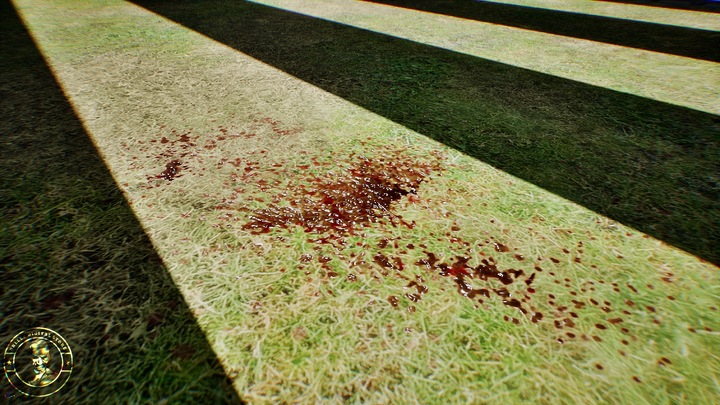 Animated Blood Ground Decal Vol.I