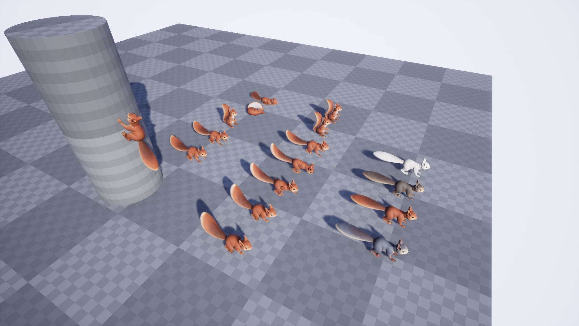 Squirrel in Characters - UE Marketplace